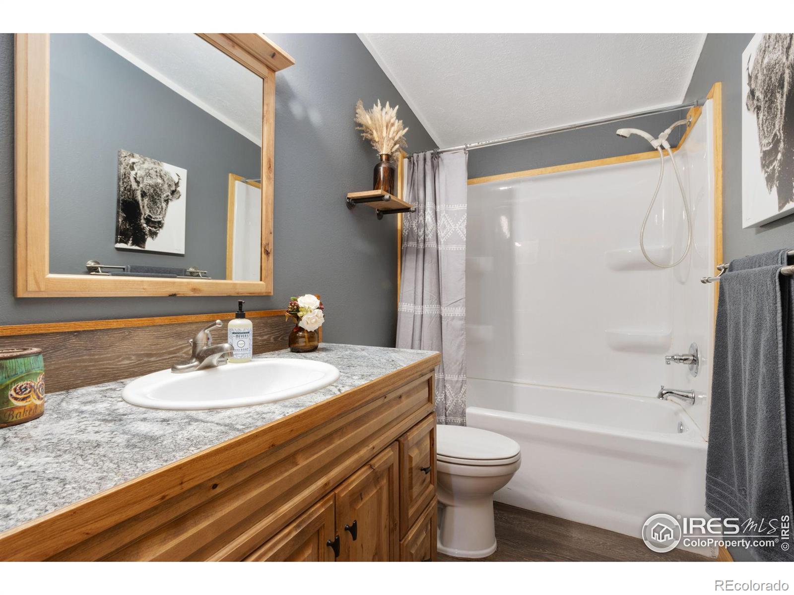 MLS Image #11 for 3520 w cleveland avenue,wellington, Colorado
