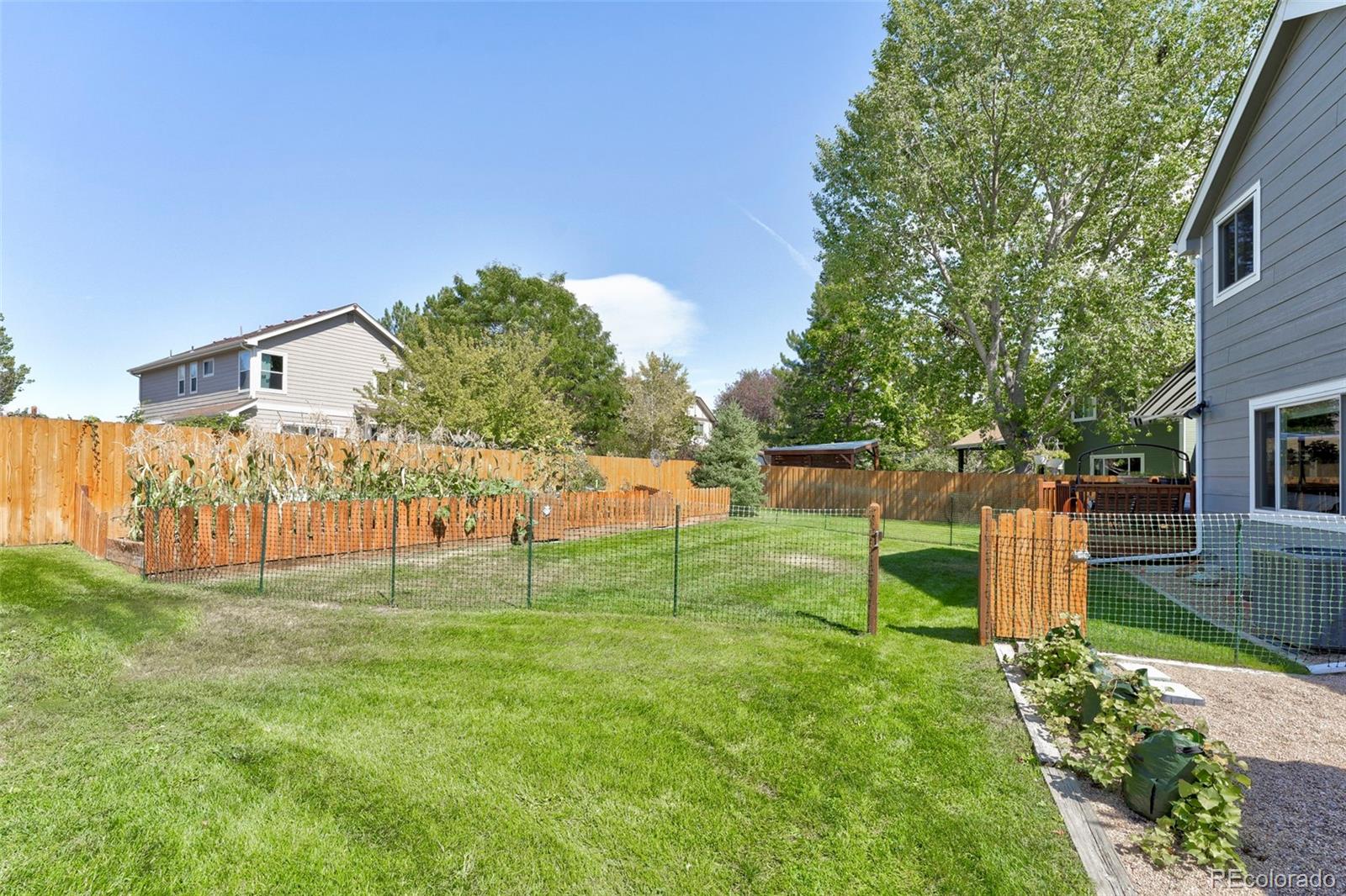 MLS Image #30 for 1457  mcintosh avenue,broomfield, Colorado