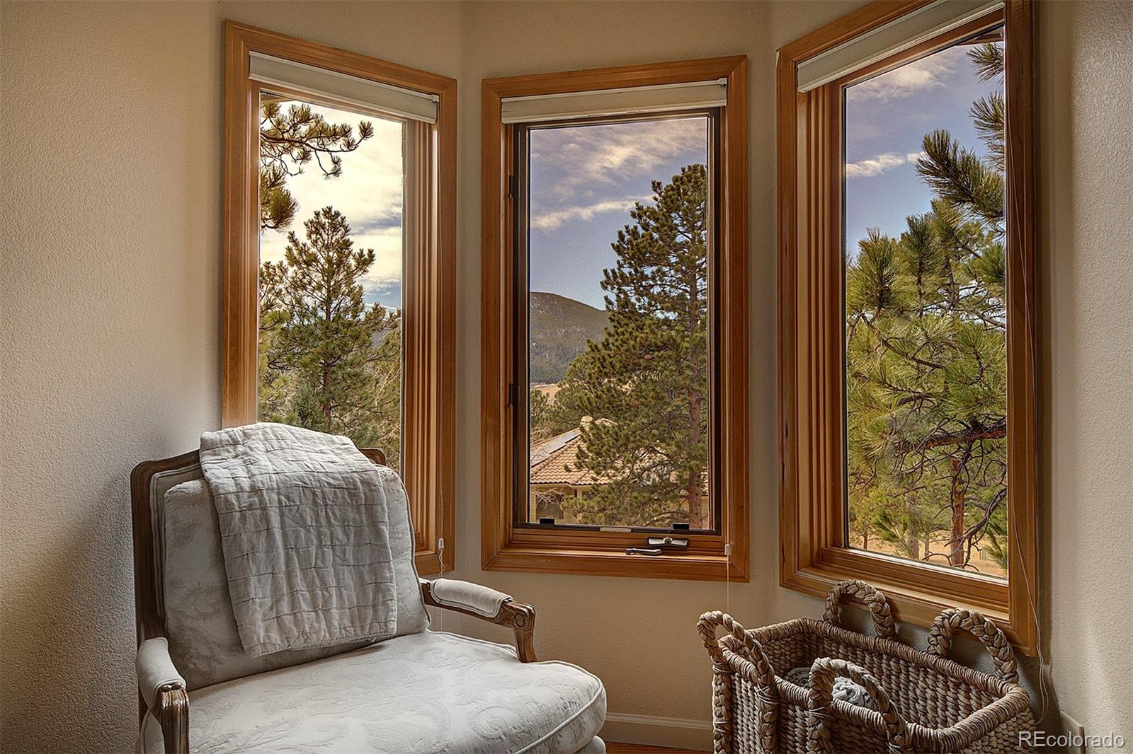 MLS Image #21 for 1334  solitude lane,evergreen, Colorado