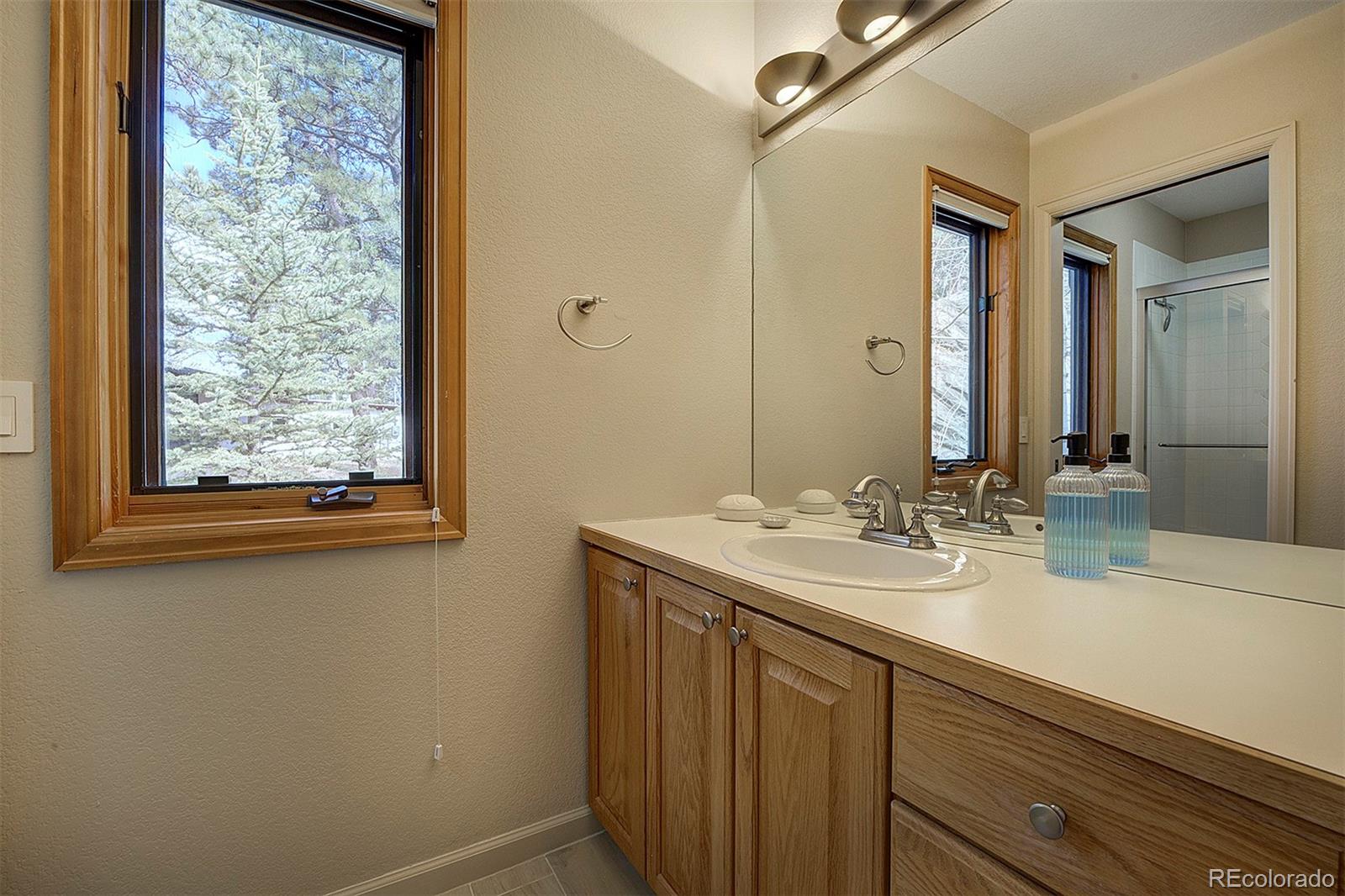 MLS Image #25 for 1334  solitude lane,evergreen, Colorado