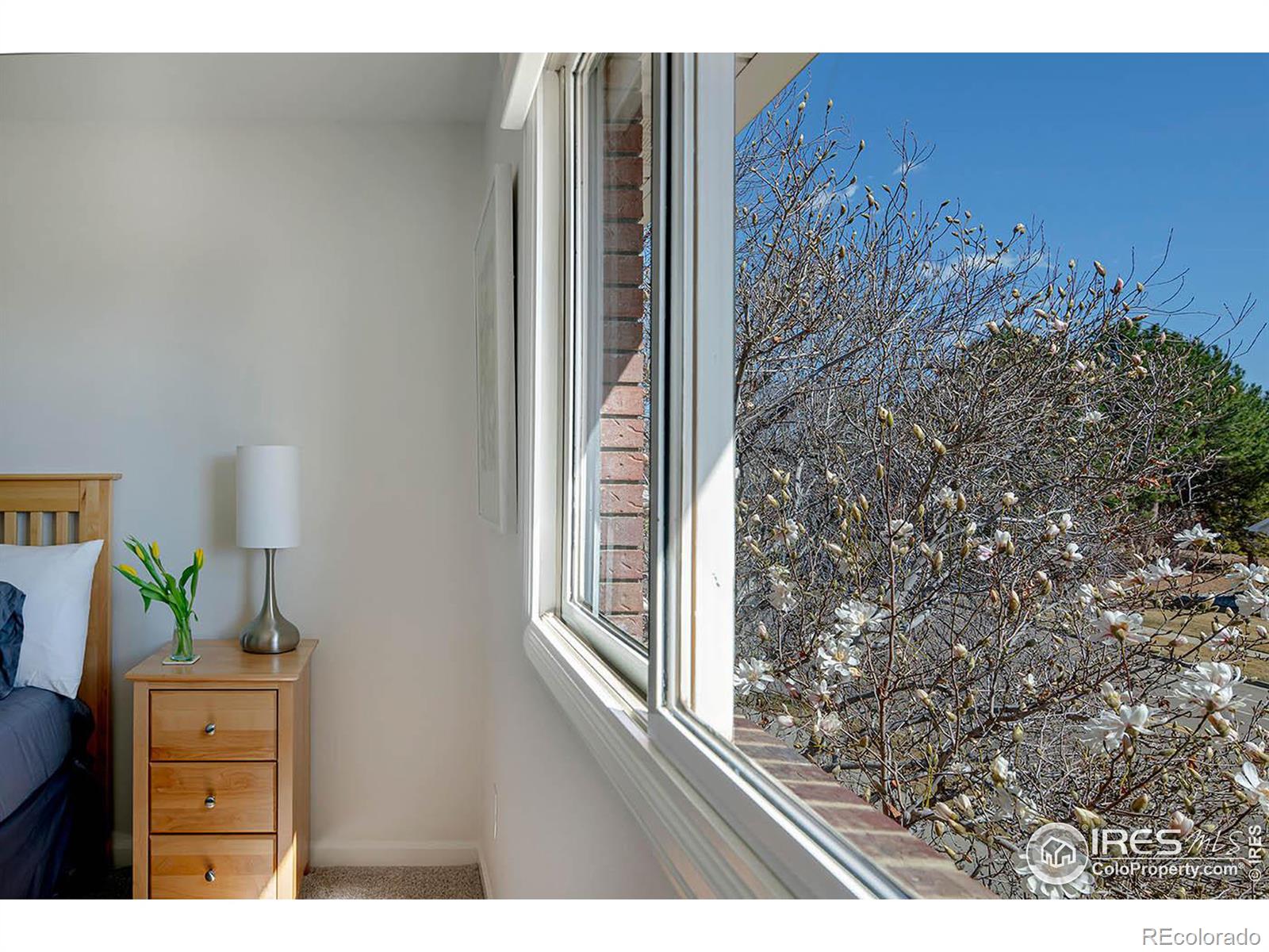 MLS Image #29 for 2051  emerald drive,longmont, Colorado