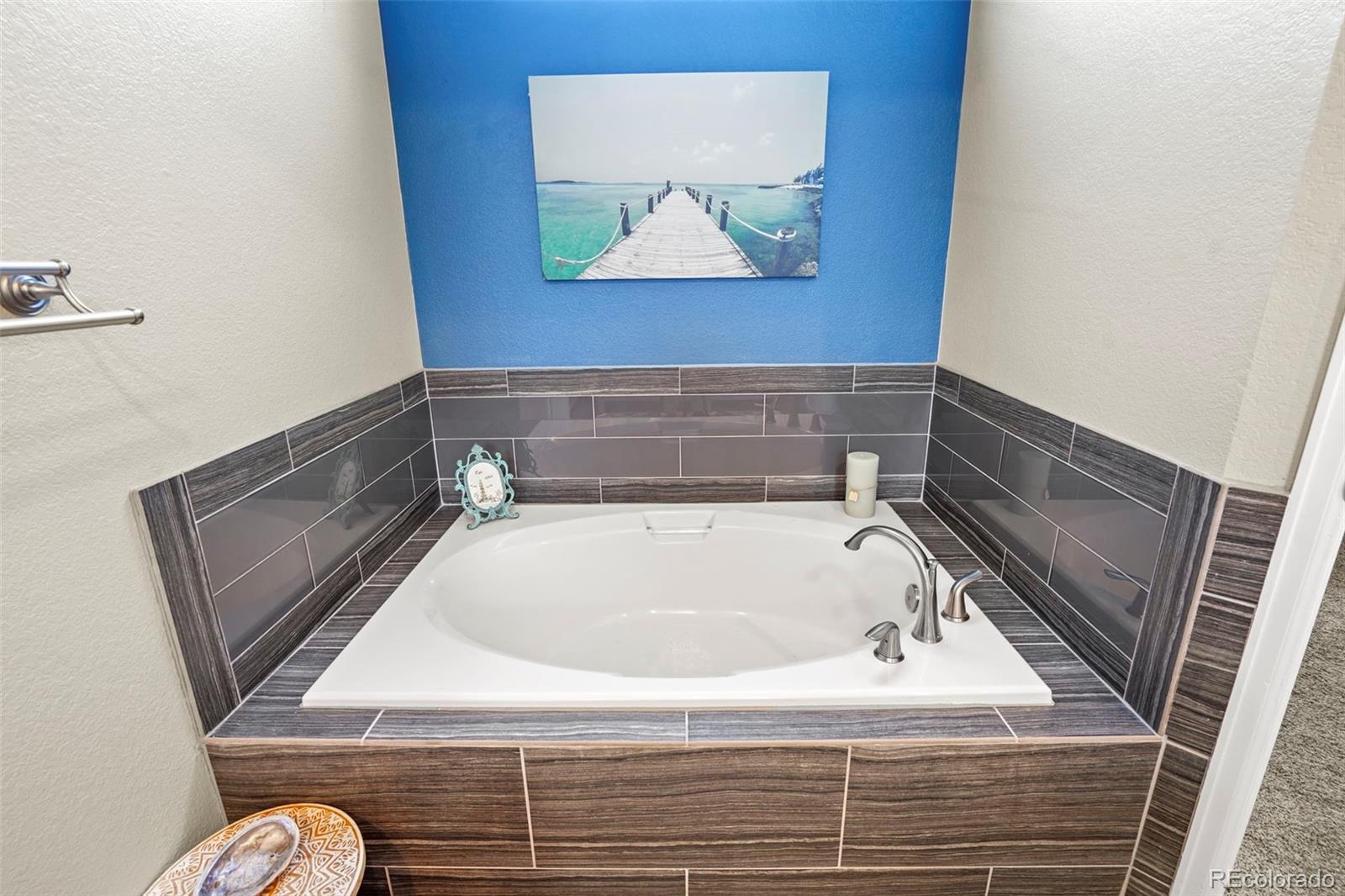 MLS Image #16 for 9603  las colinas drive,lone tree, Colorado