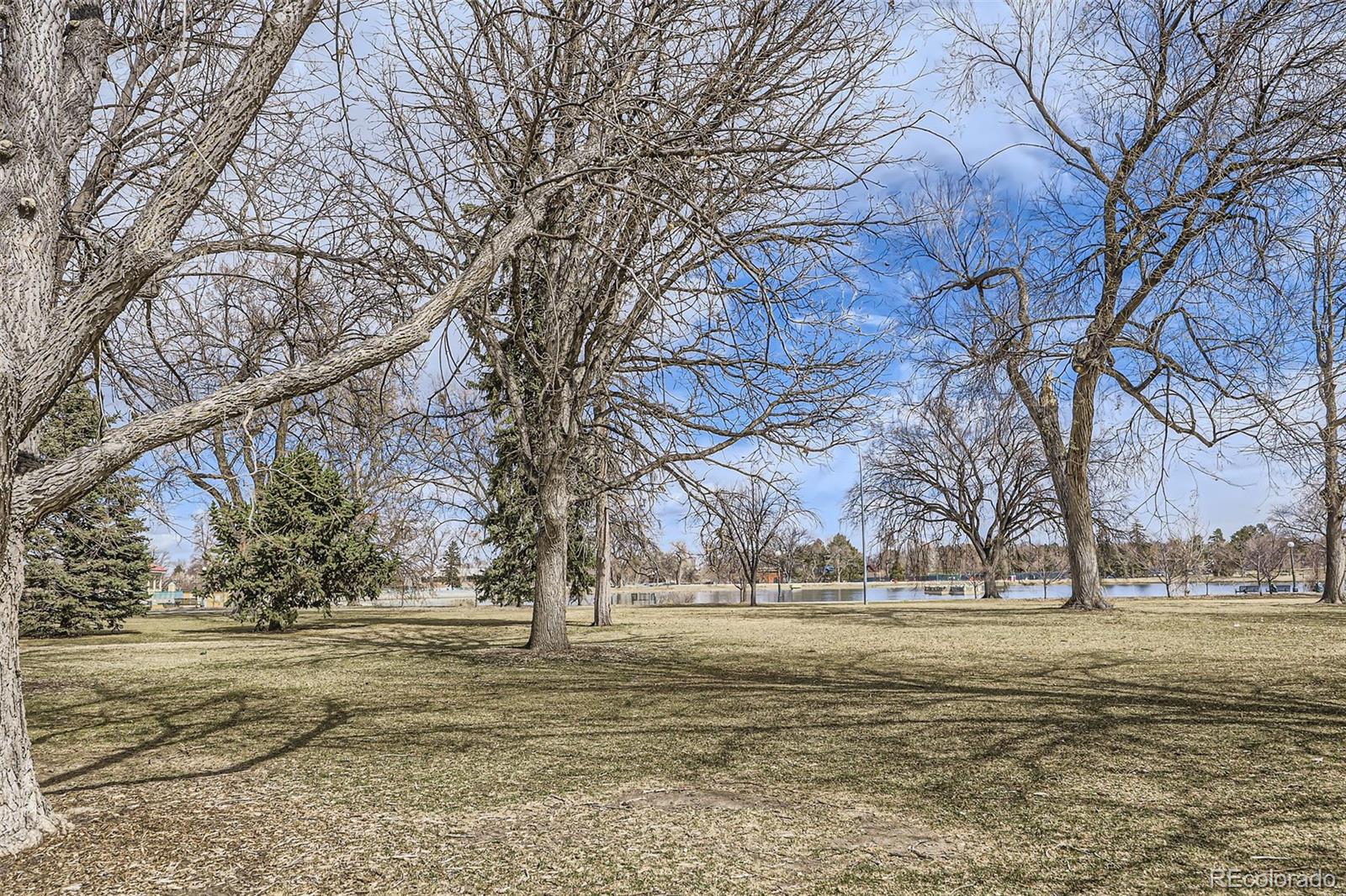 MLS Image #10 for 1623  saint paul street,denver, Colorado