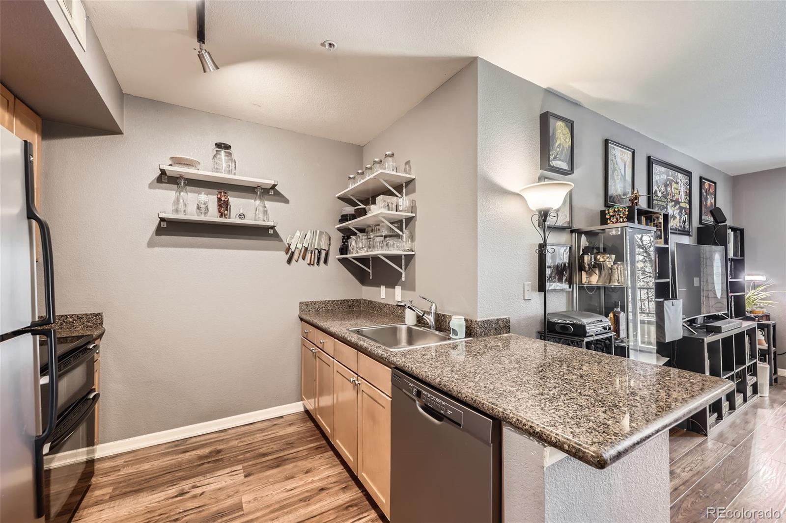 MLS Image #2 for 1623  saint paul street,denver, Colorado