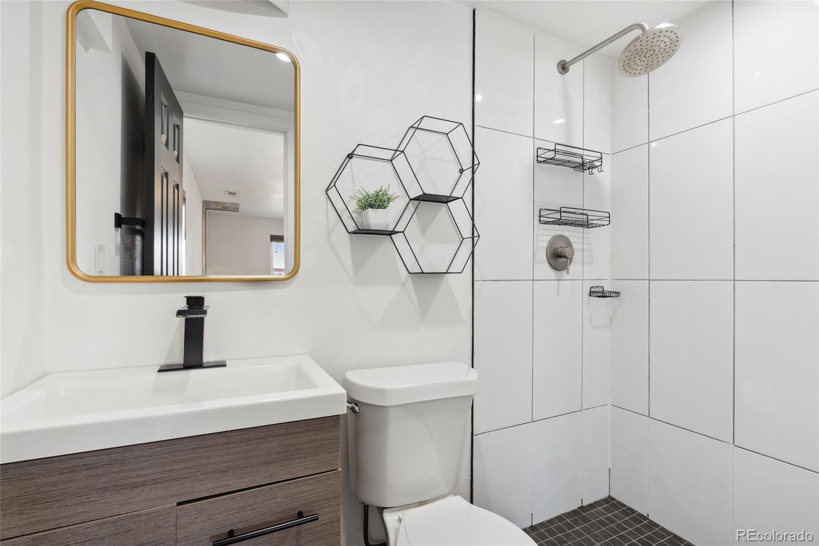 MLS Image #29 for 2650  niagara street,denver, Colorado