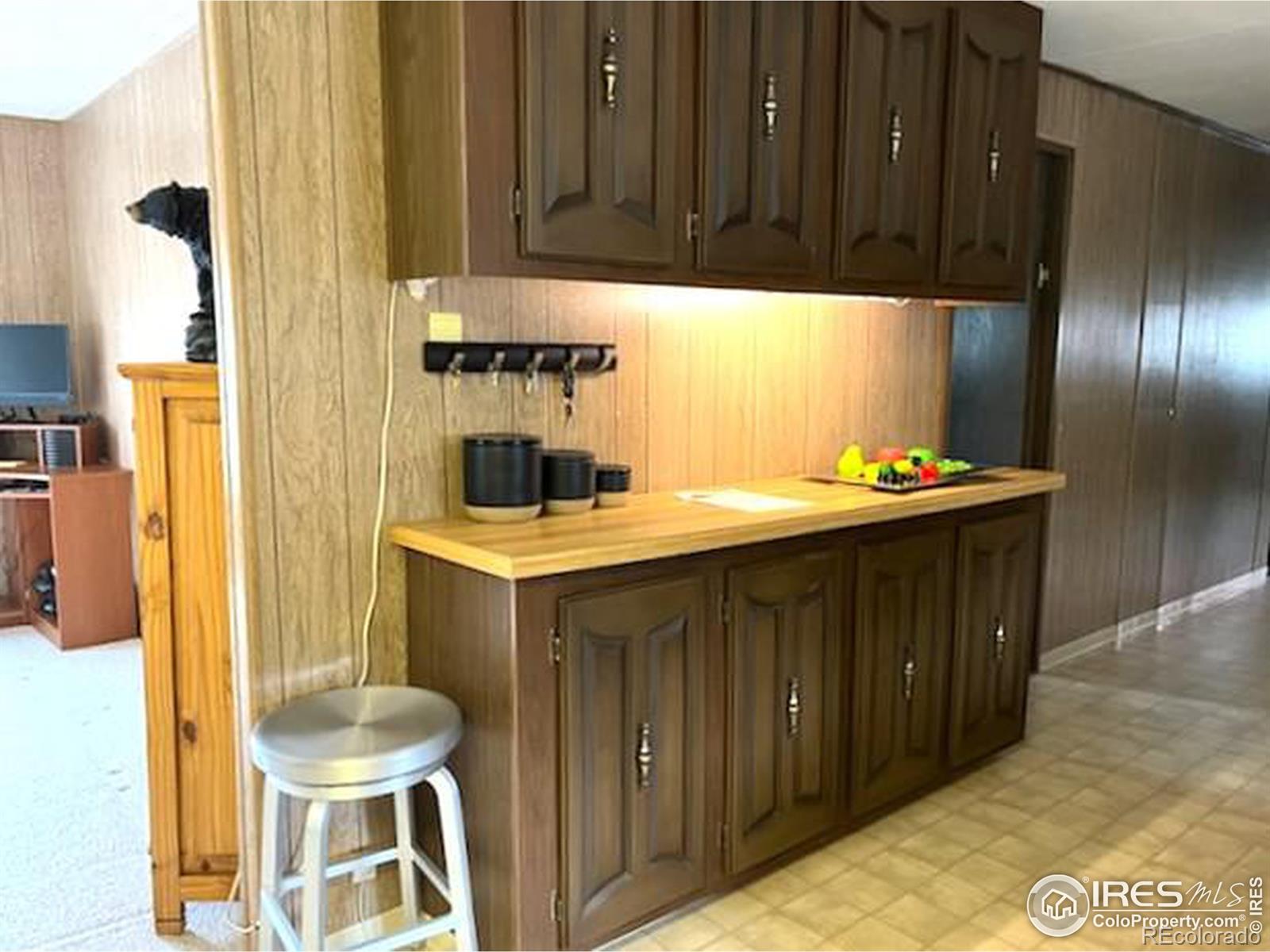 MLS Image #13 for 224  meadow lane,bellvue, Colorado
