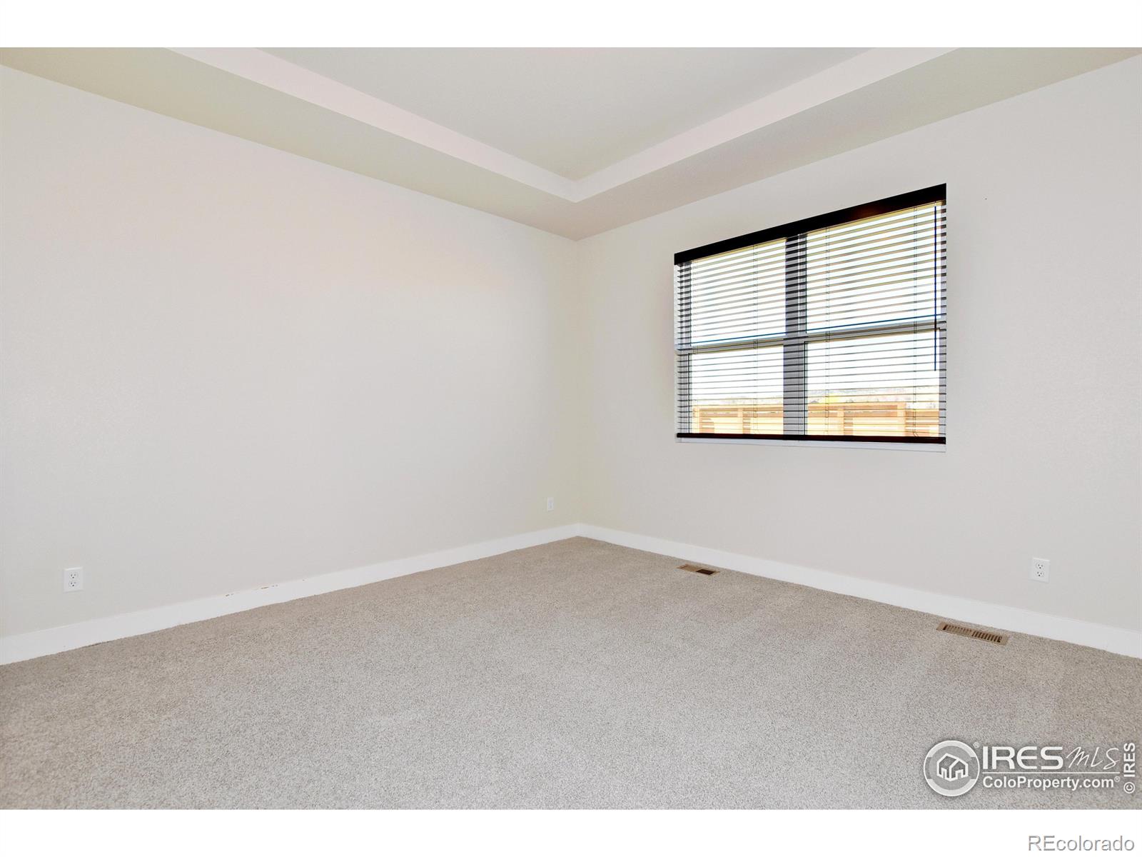 MLS Image #19 for 3388  da vinci drive,loveland, Colorado