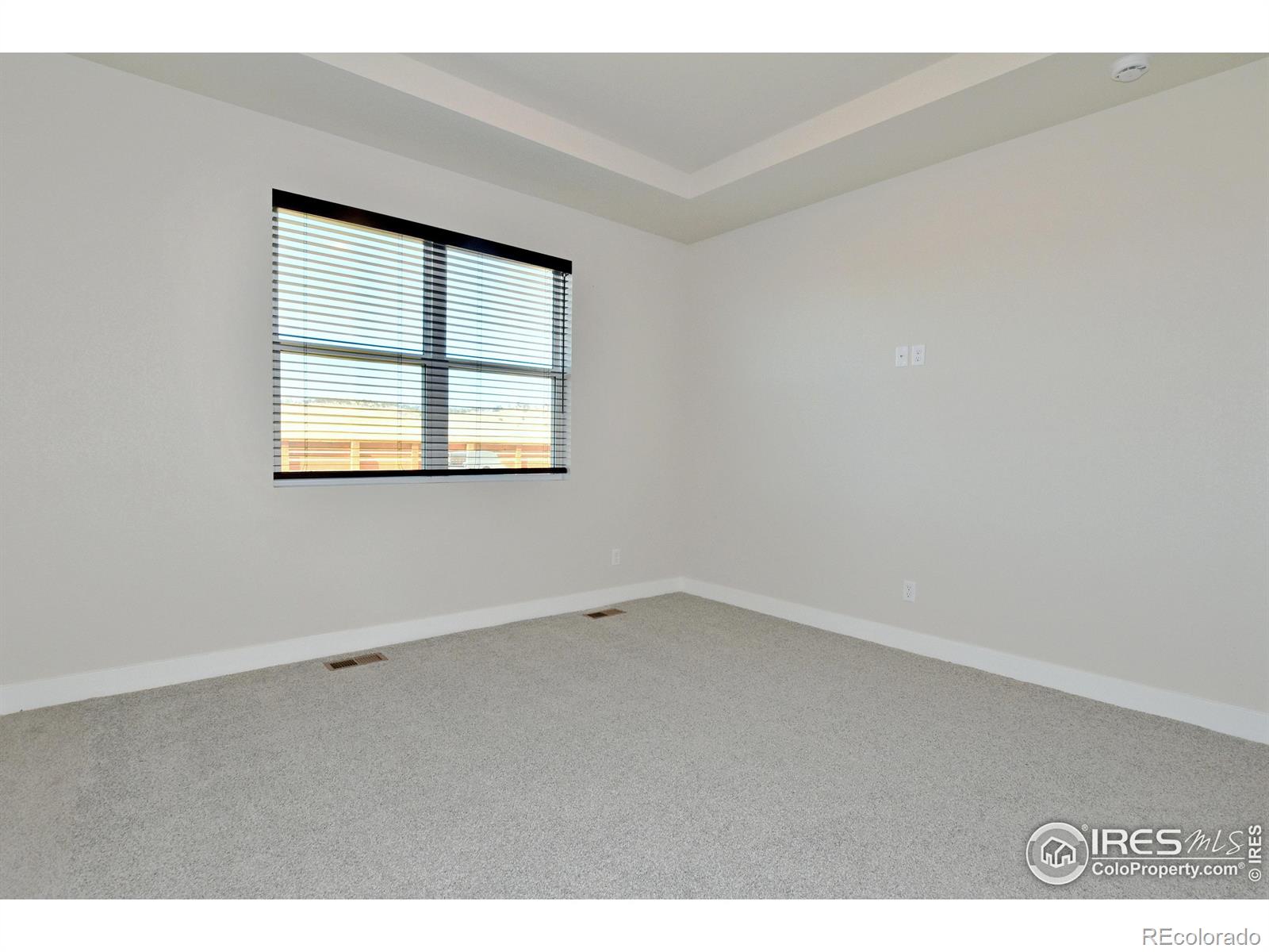 MLS Image #22 for 3388  da vinci drive,loveland, Colorado