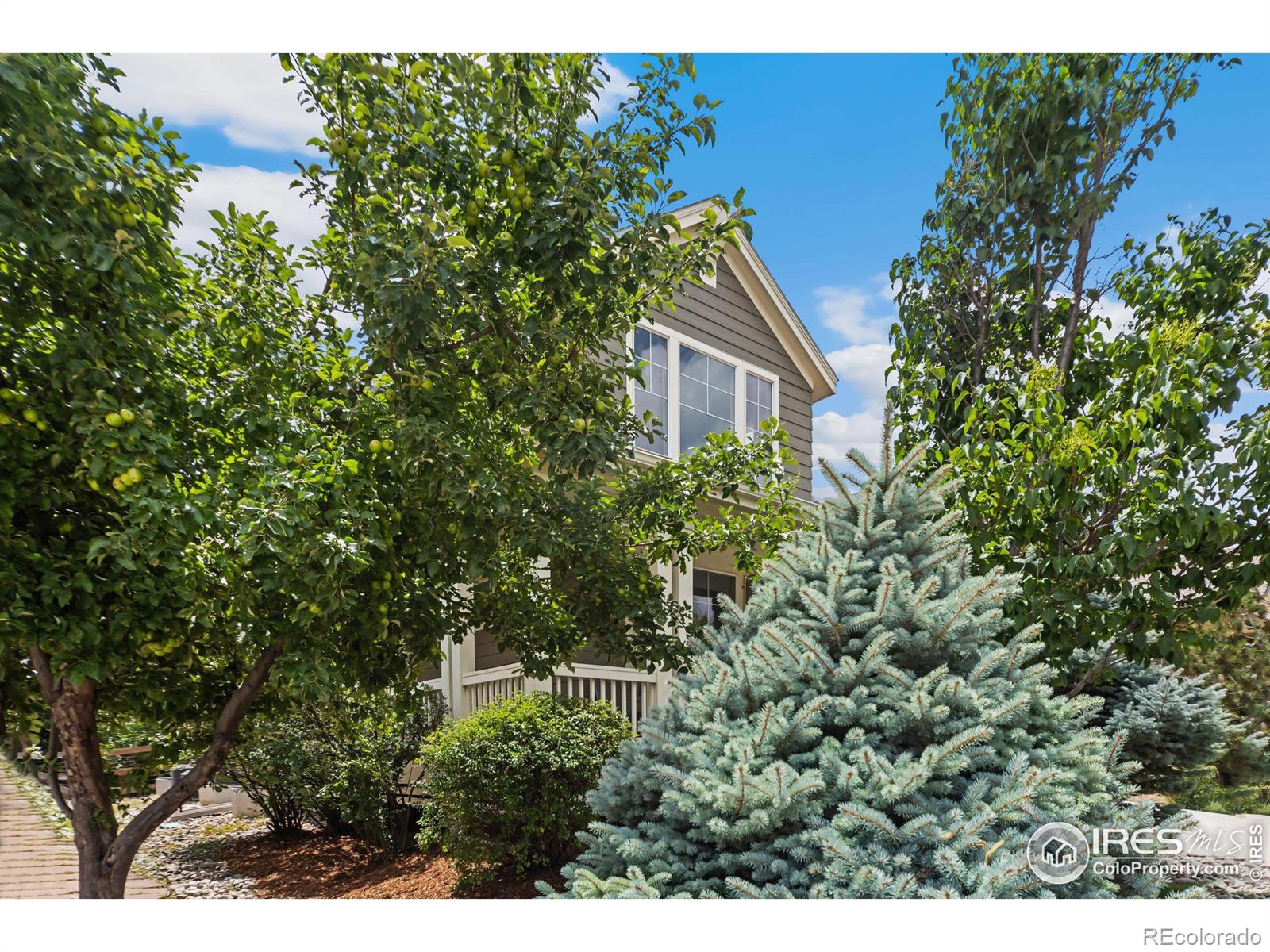 MLS Image #37 for 3833  observatory drive,fort collins, Colorado