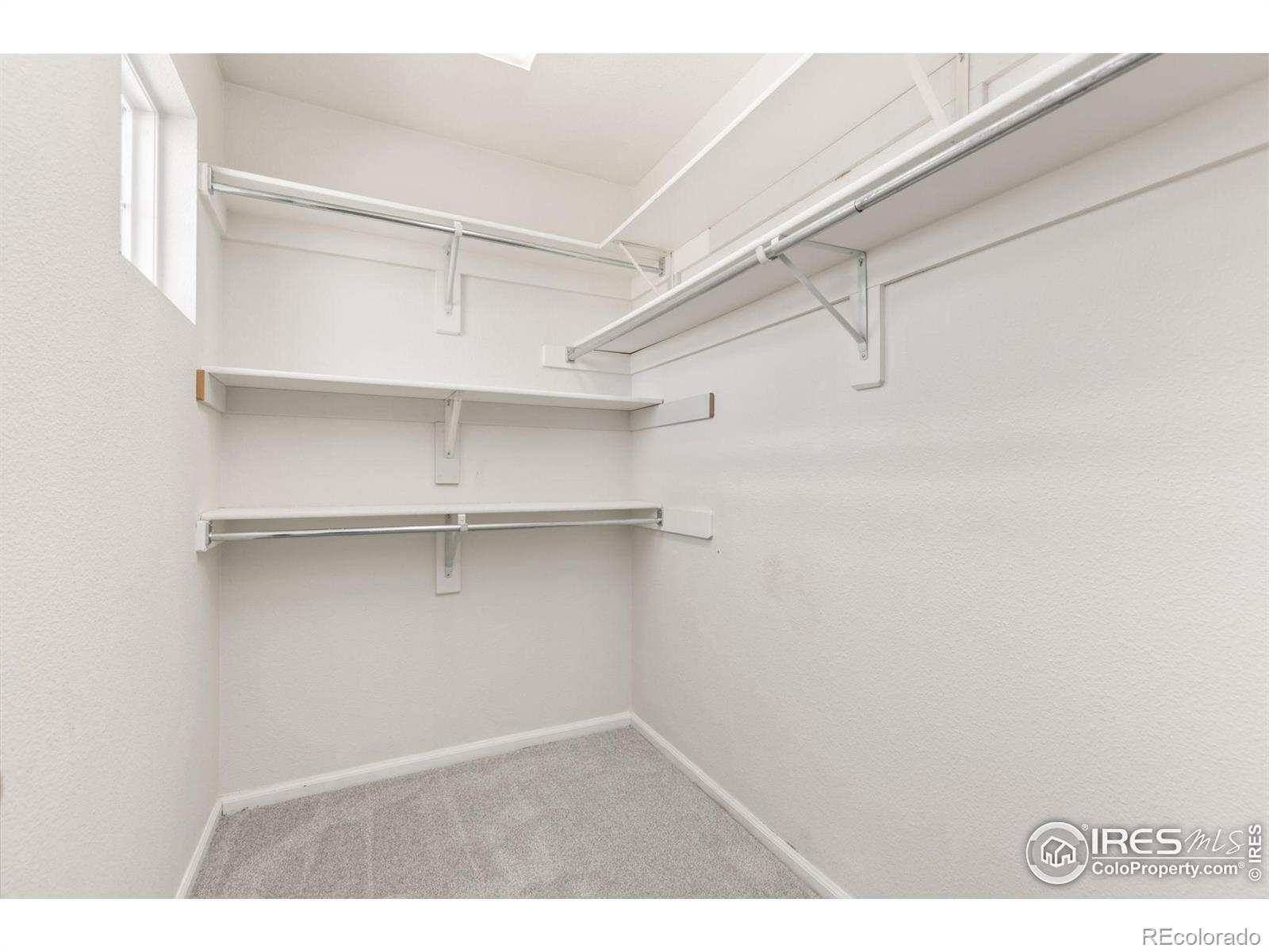 MLS Image #22 for 1215  basseterre place,fort collins, Colorado