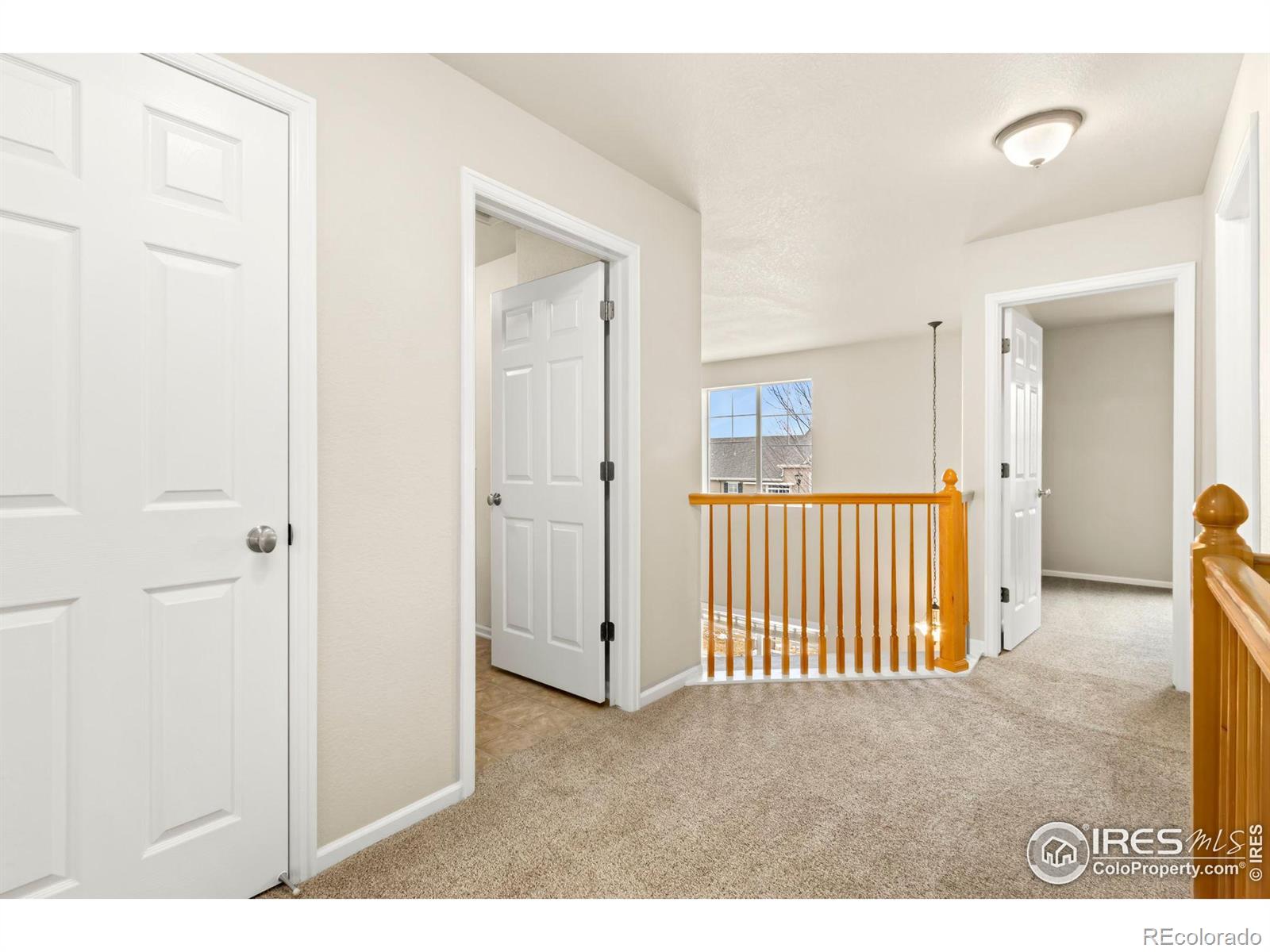 MLS Image #16 for 3210  springfield drive,loveland, Colorado