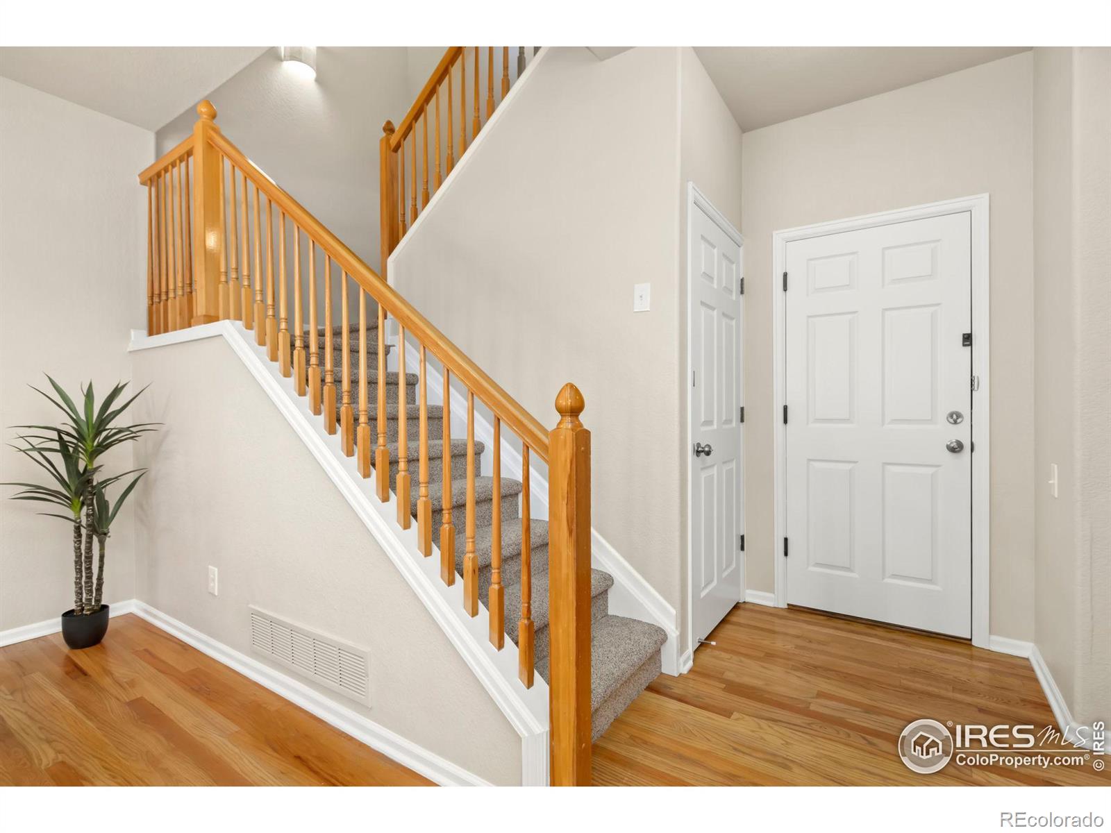 MLS Image #4 for 3210  springfield drive,loveland, Colorado