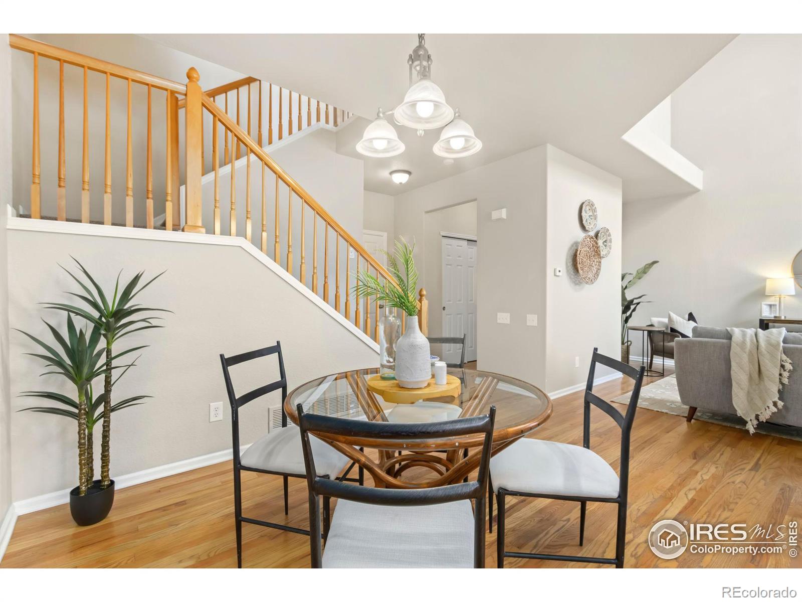 MLS Image #8 for 3210  springfield drive,loveland, Colorado