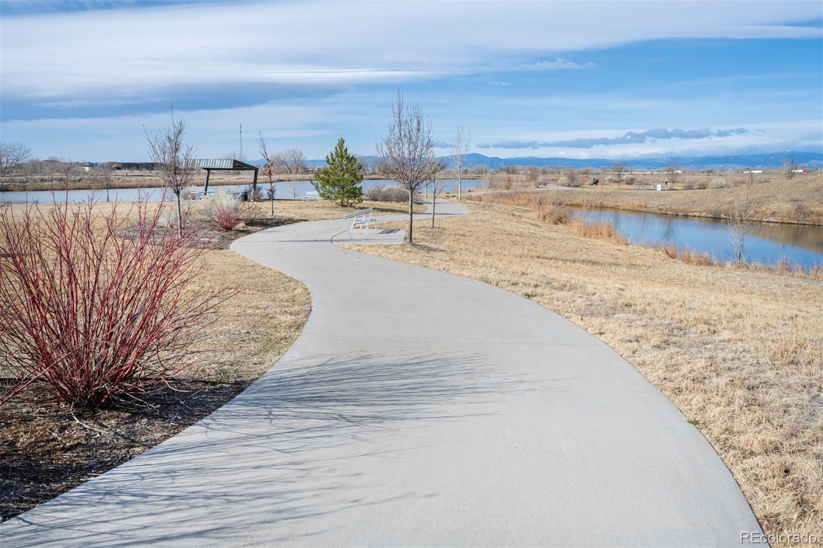 MLS Image #44 for 12628  bayshore street,firestone, Colorado