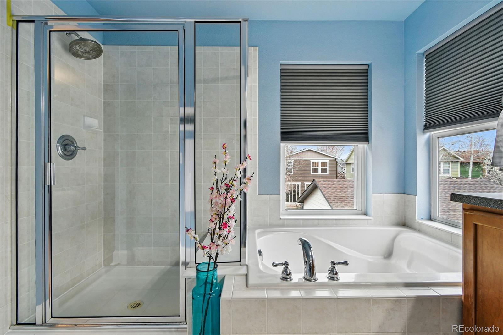 MLS Image #27 for 2949  emporia court,denver, Colorado