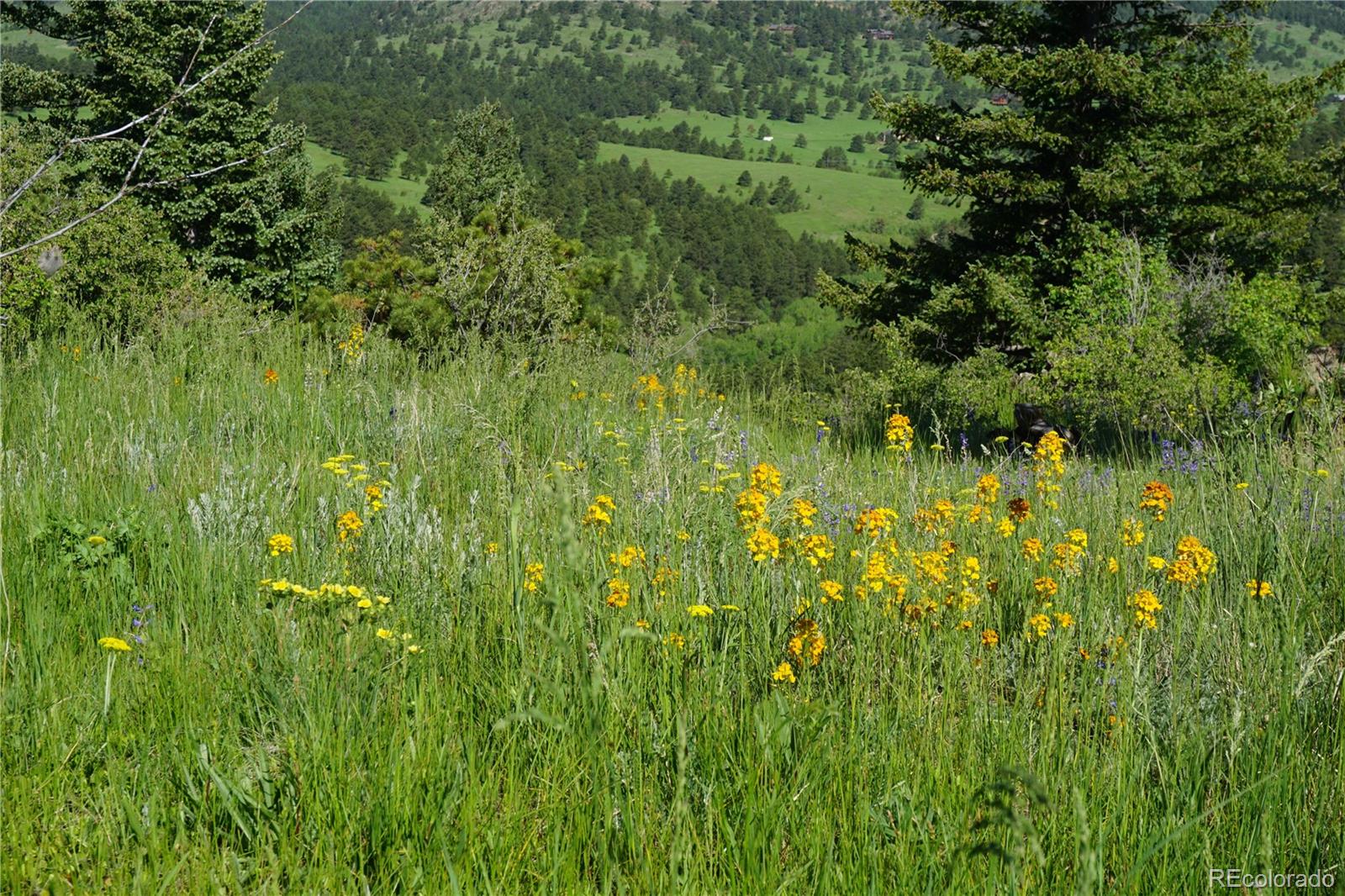 MLS Image #41 for 6300  summer star lane,golden, Colorado
