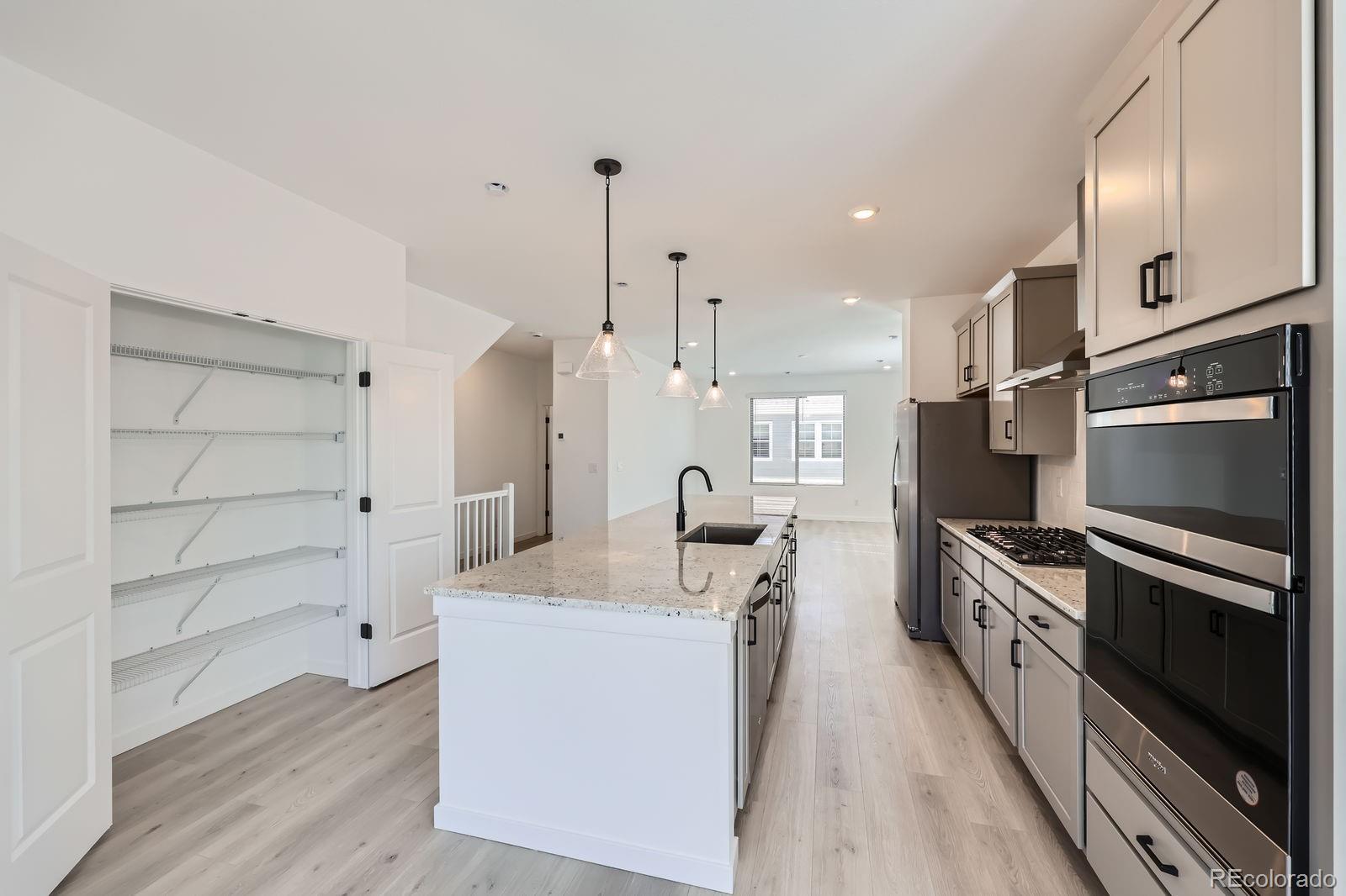 MLS Image #5 for 9658  browns peak circle,littleton, Colorado