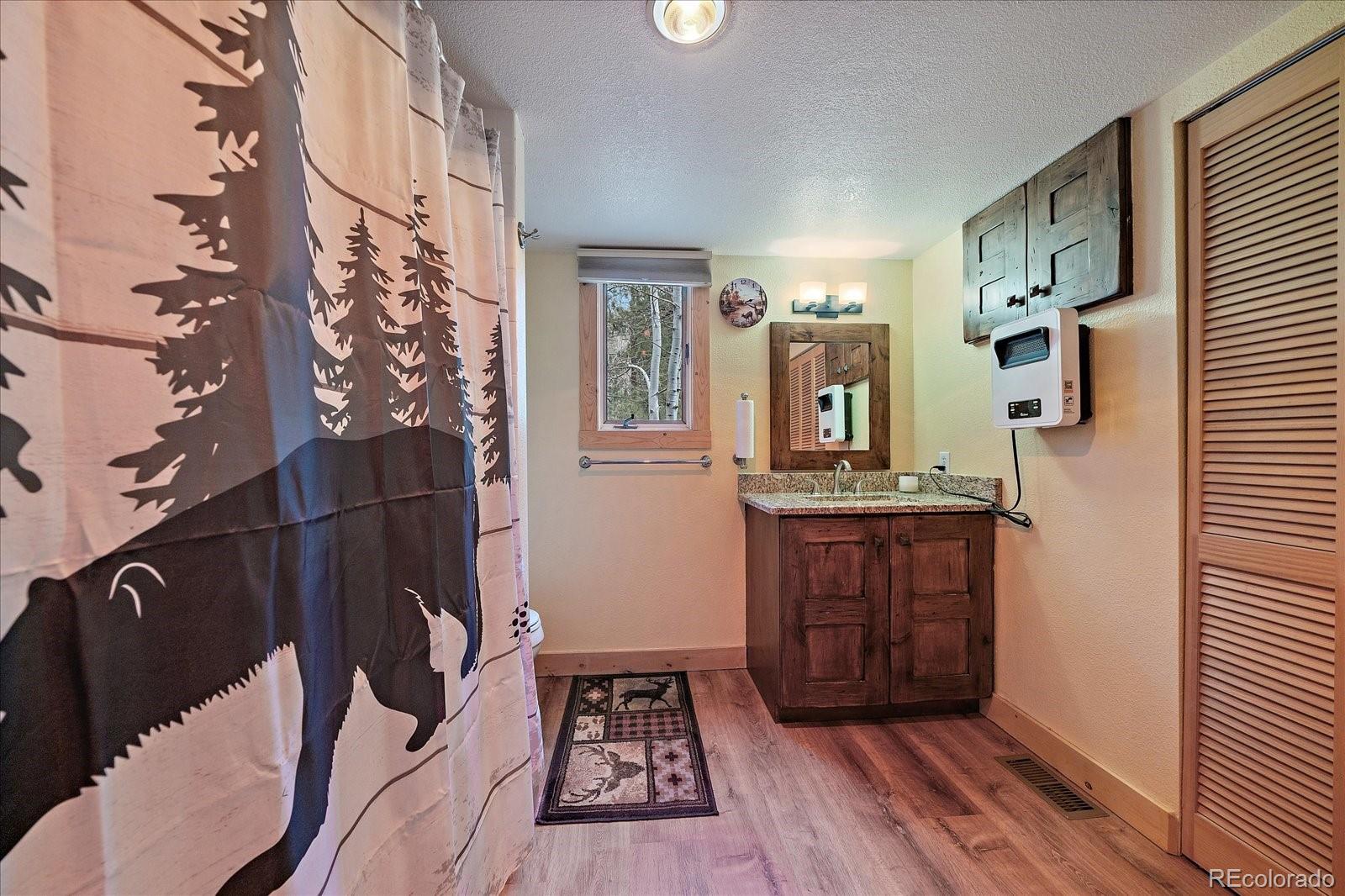 MLS Image #18 for 3065  piney ridge road,evergreen, Colorado