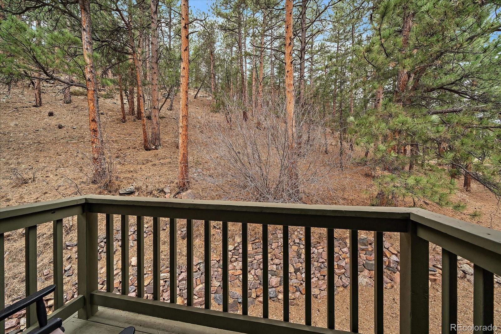 MLS Image #21 for 3065  piney ridge road,evergreen, Colorado
