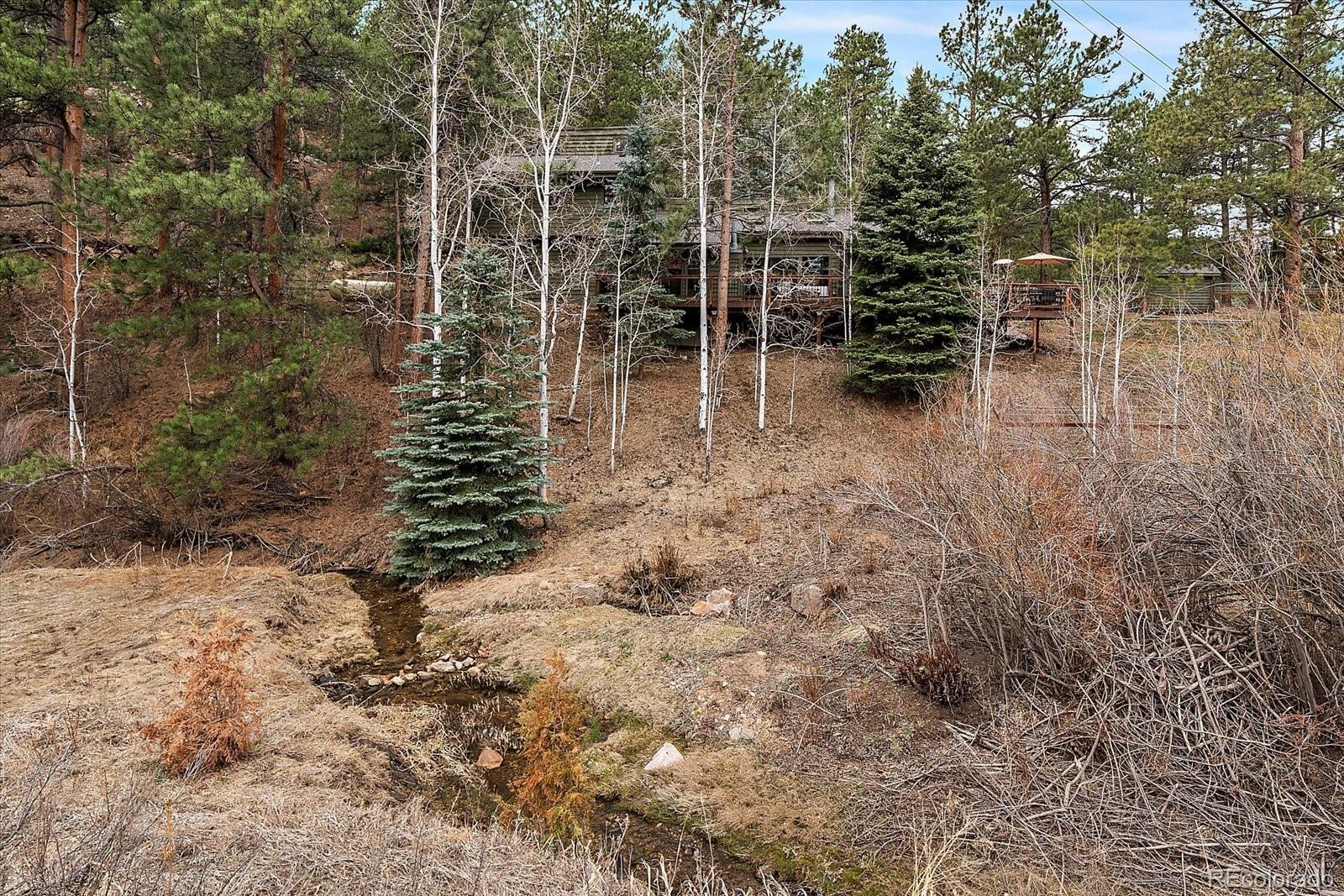 MLS Image #3 for 3065  piney ridge road,evergreen, Colorado