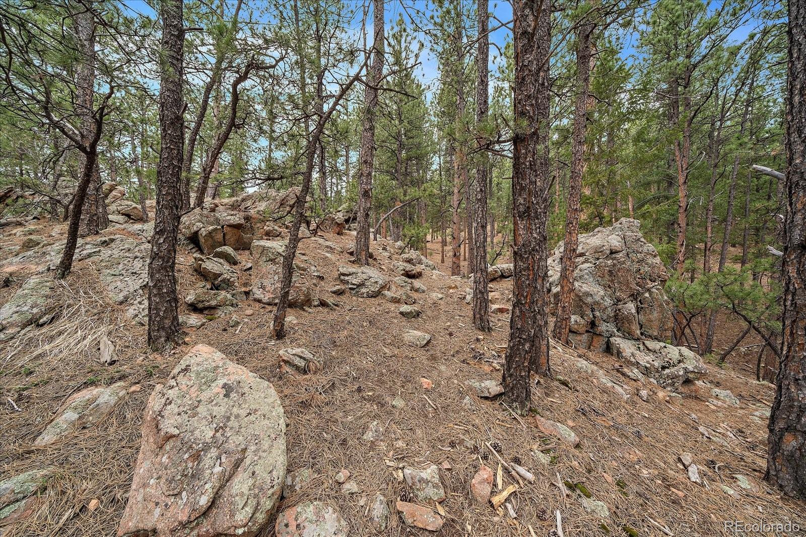 MLS Image #35 for 3065  piney ridge road,evergreen, Colorado