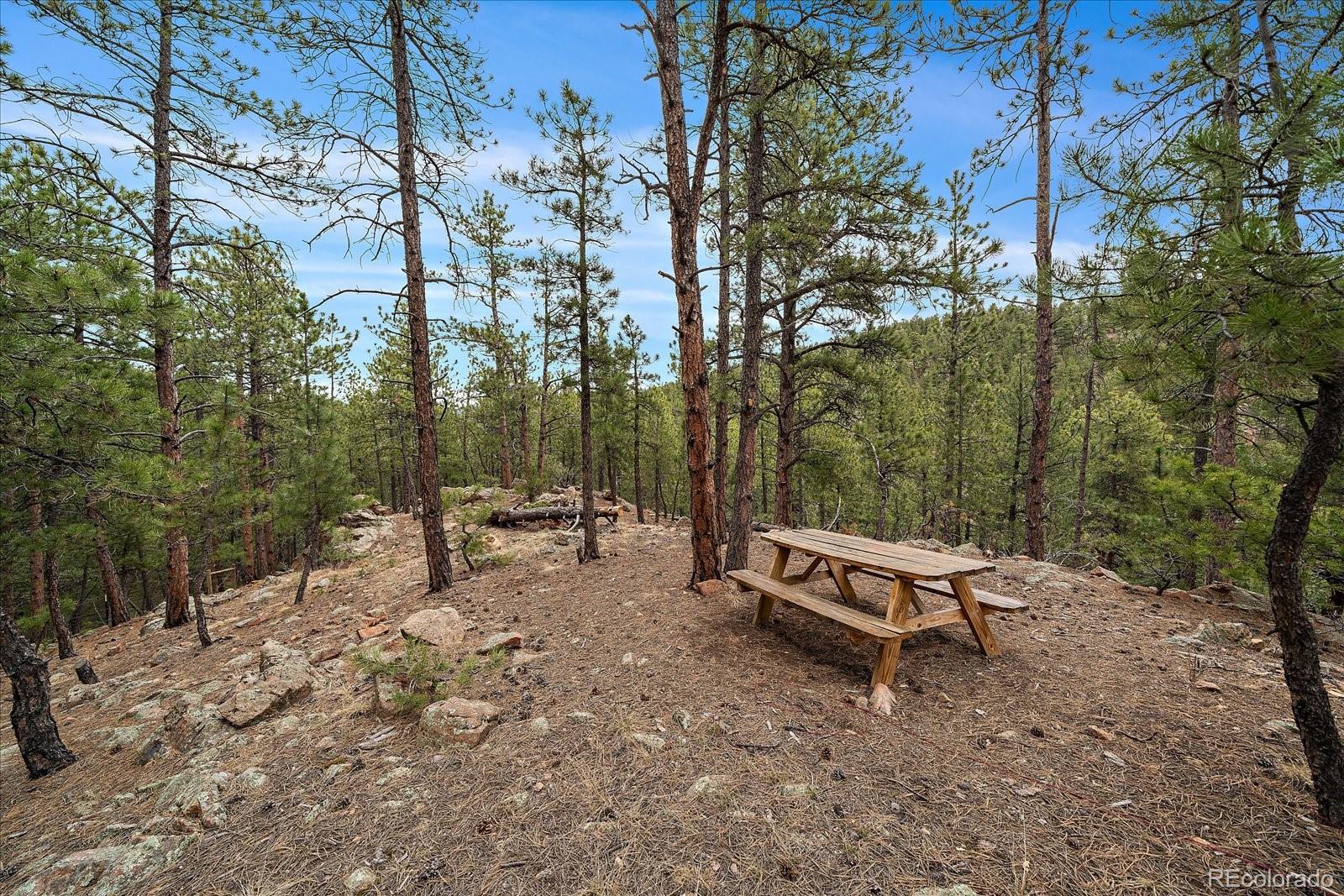 MLS Image #36 for 3065  piney ridge road,evergreen, Colorado
