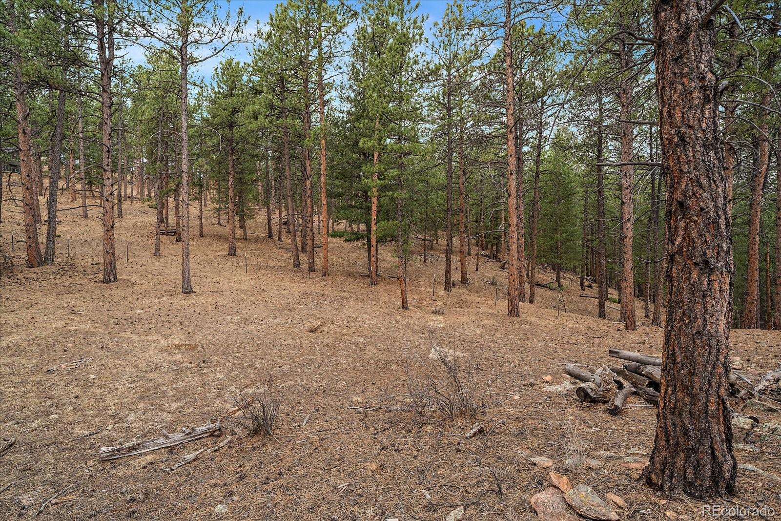MLS Image #38 for 3065  piney ridge road,evergreen, Colorado