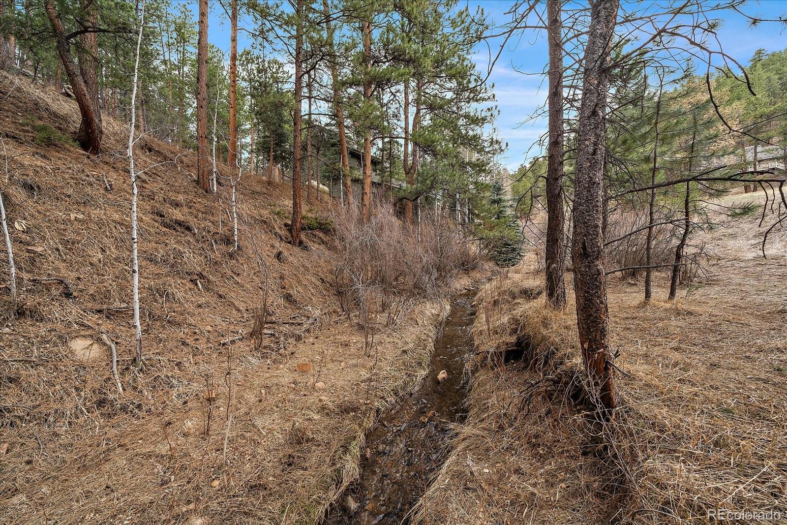 MLS Image #39 for 3065  piney ridge road,evergreen, Colorado