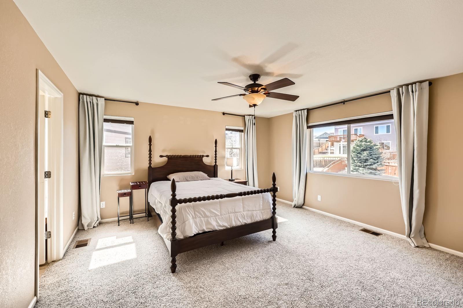MLS Image #11 for 7506  sabino lane,castle rock, Colorado