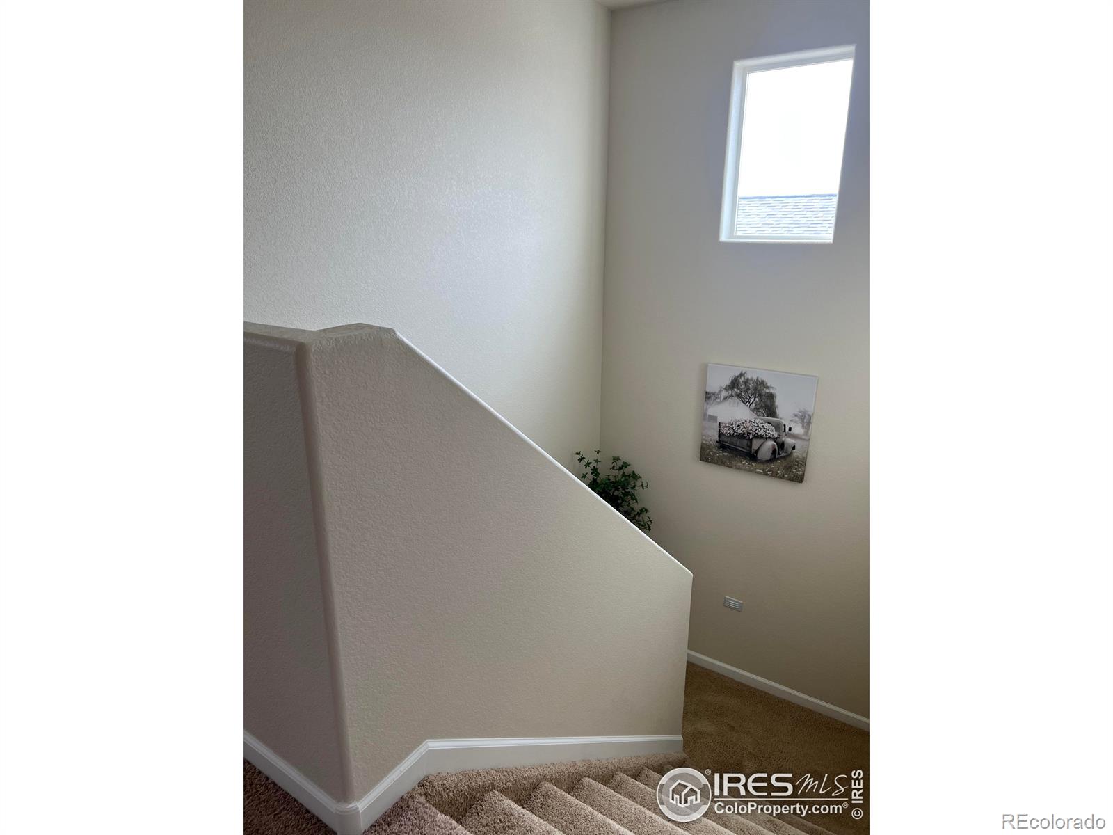 MLS Image #13 for 591  sandi lane,dacono, Colorado