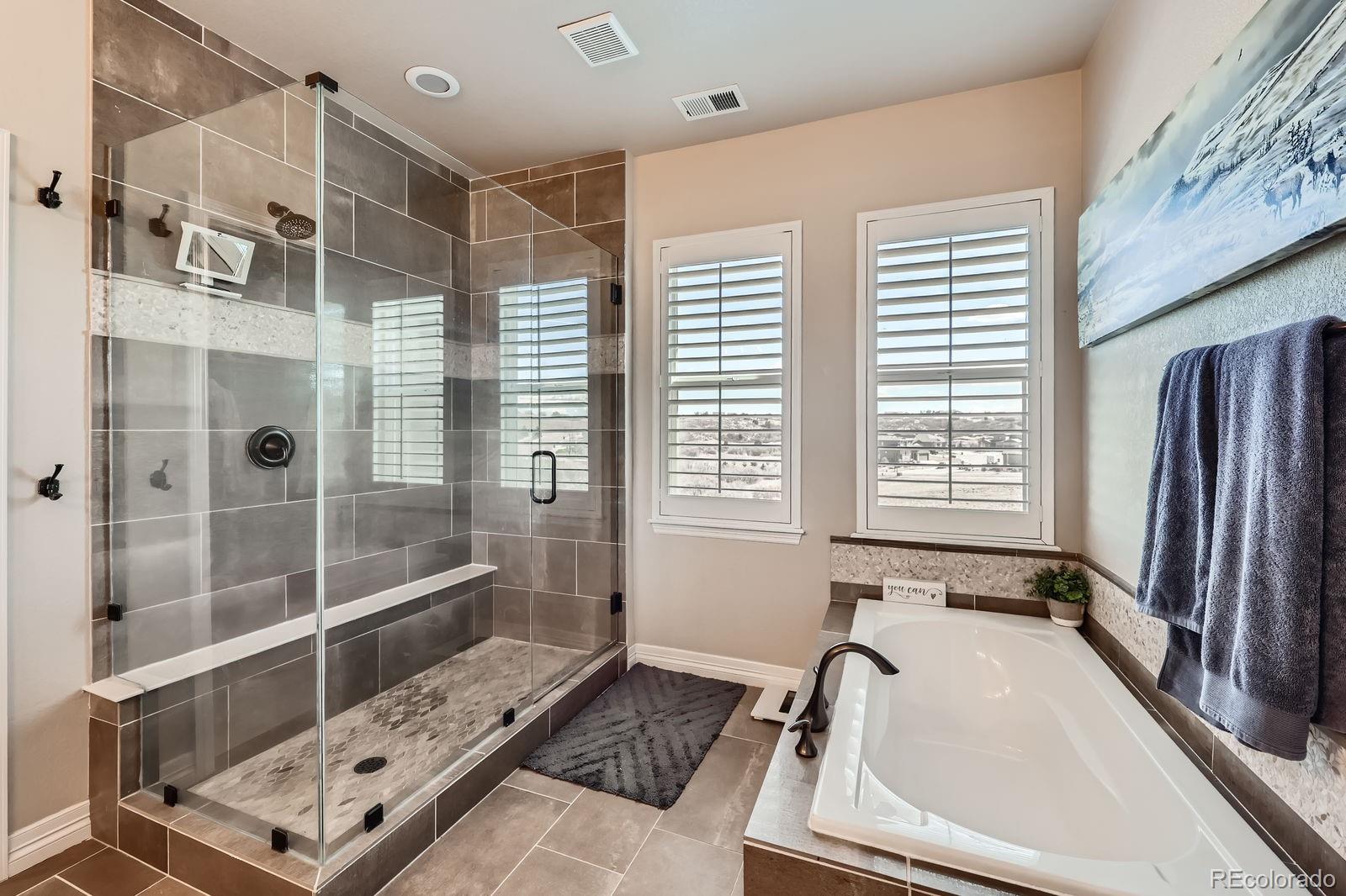 MLS Image #13 for 4028  spanish oaks way,castle rock, Colorado