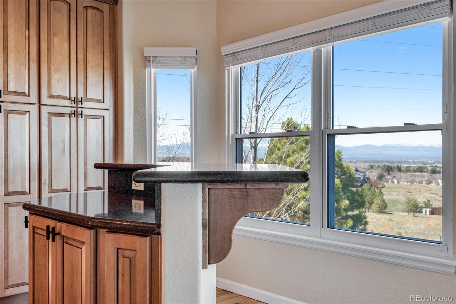 MLS Image #13 for 9239  erminedale drive,lone tree, Colorado