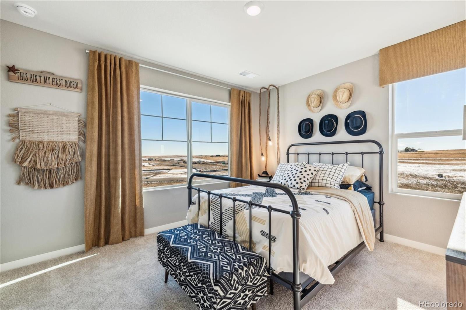 MLS Image #23 for 4853  cattle cross lane,castle rock, Colorado
