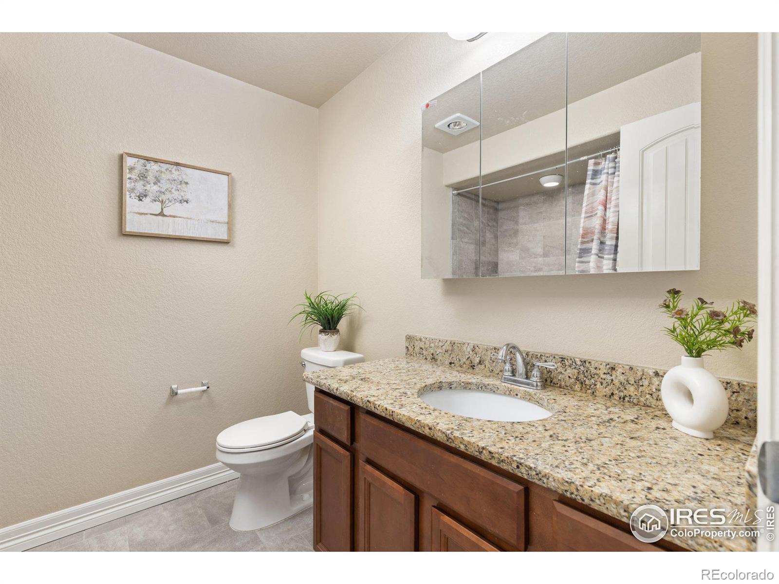MLS Image #26 for 6038  carmon drive,windsor, Colorado