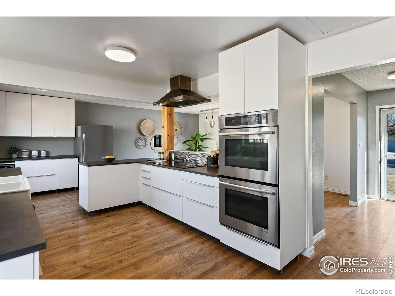 MLS Image #11 for 2406  merino court,fort collins, Colorado