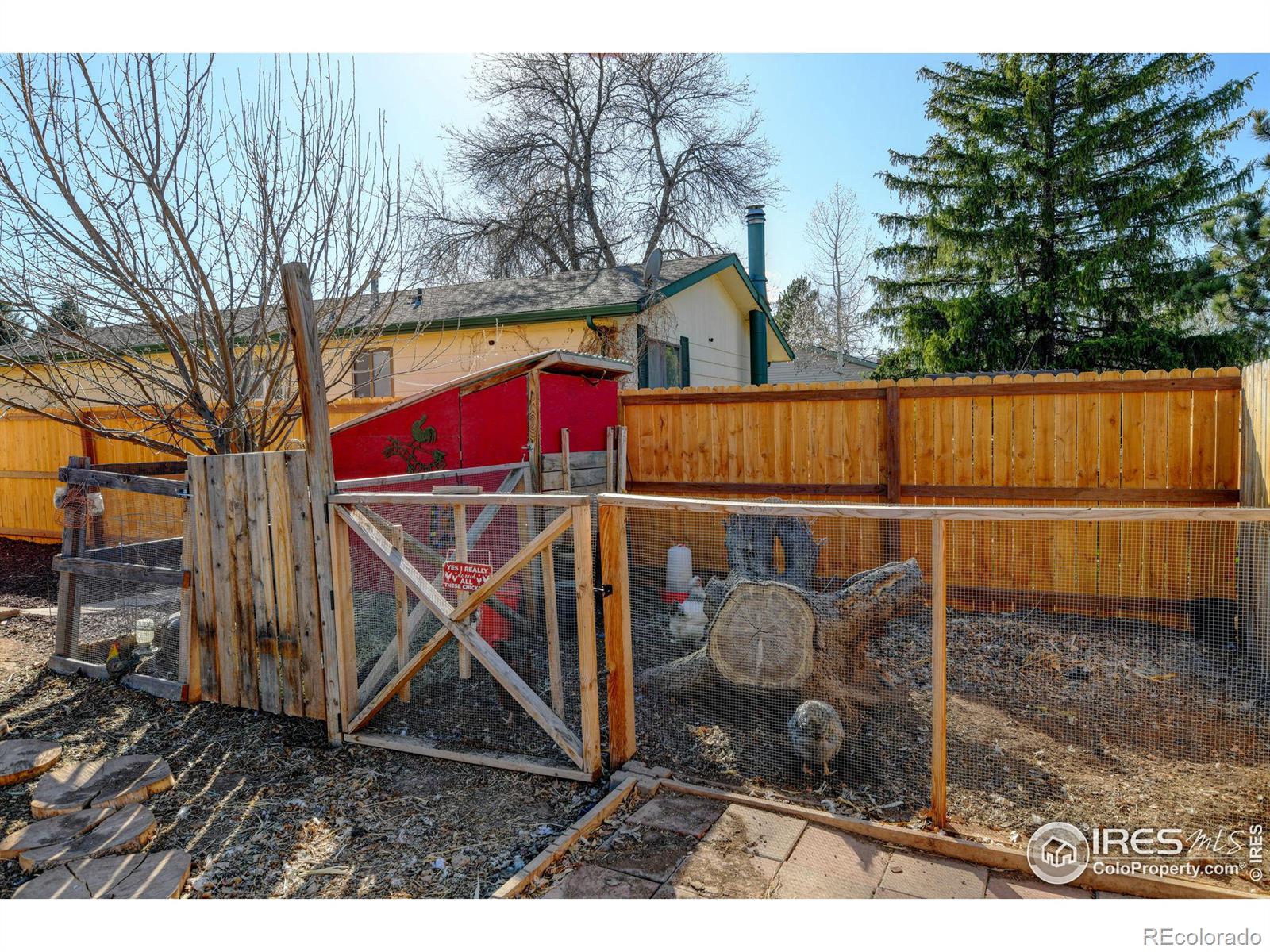 MLS Image #28 for 2406  merino court,fort collins, Colorado