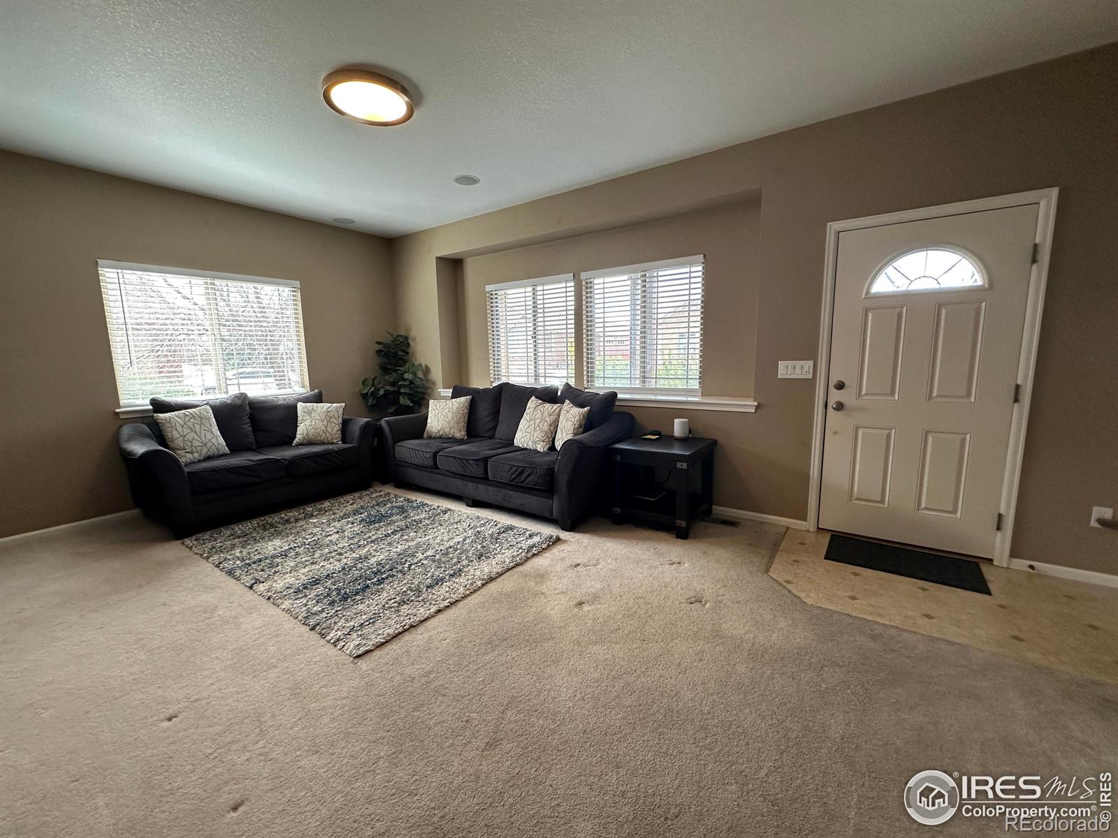 MLS Image #14 for 4478  hayler avenue,loveland, Colorado