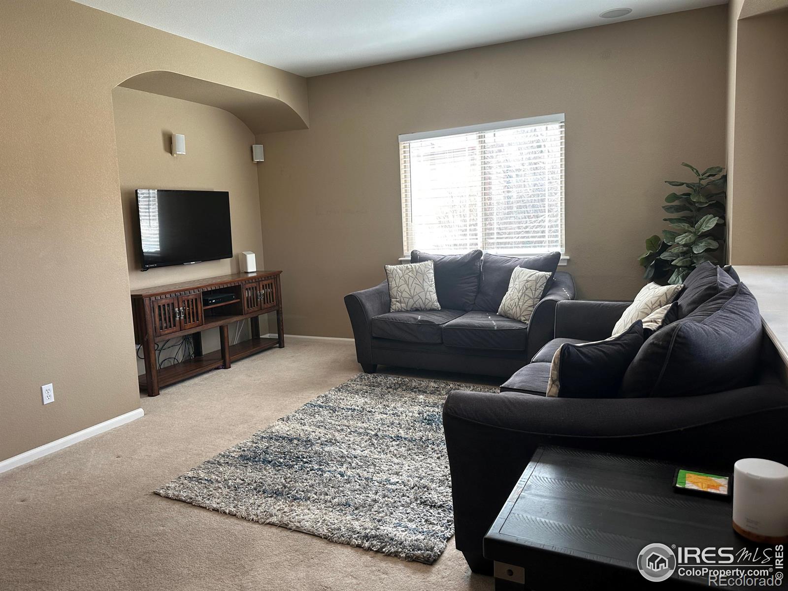 MLS Image #15 for 4478  hayler avenue,loveland, Colorado