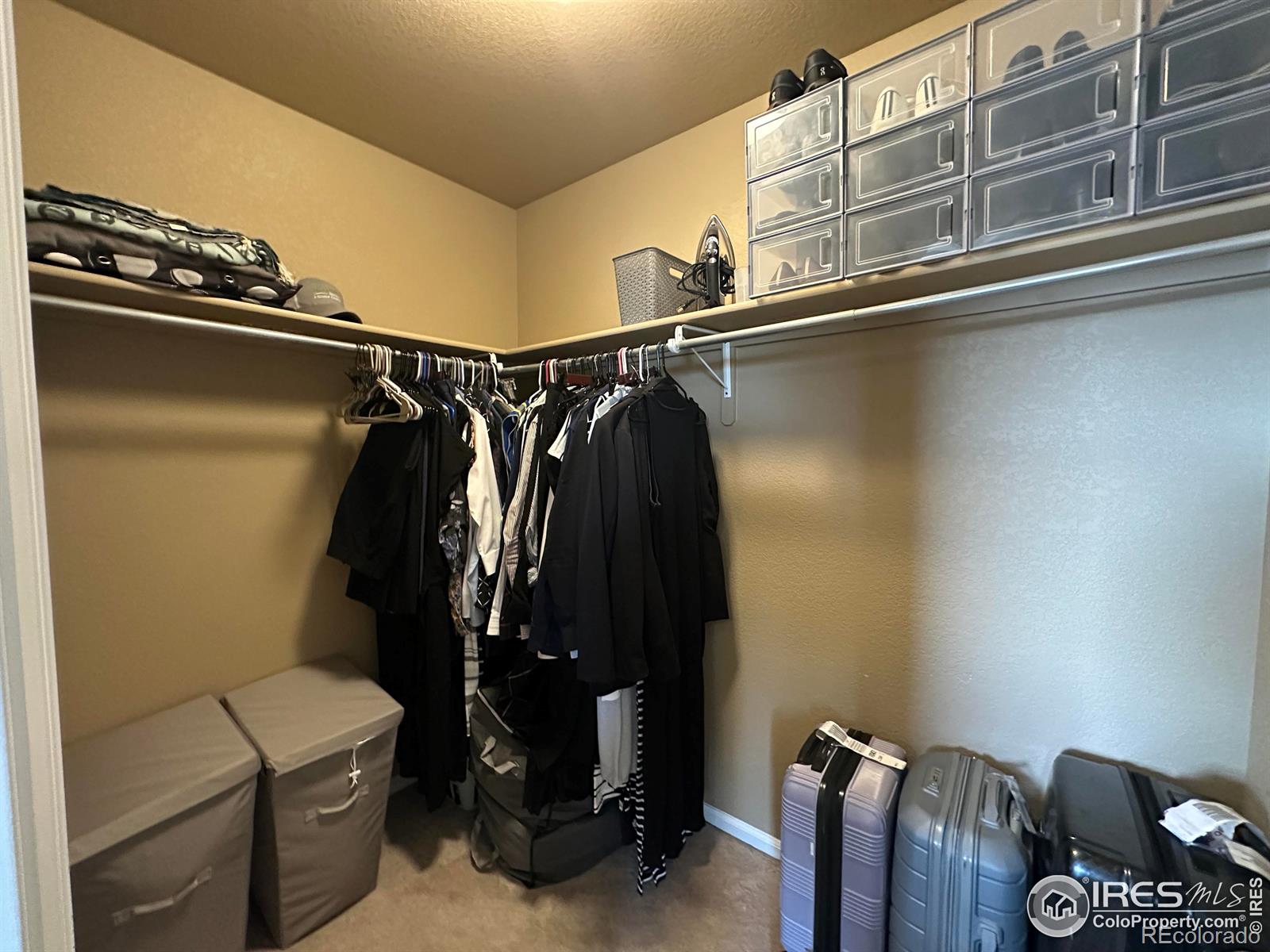 MLS Image #18 for 4478  hayler avenue,loveland, Colorado