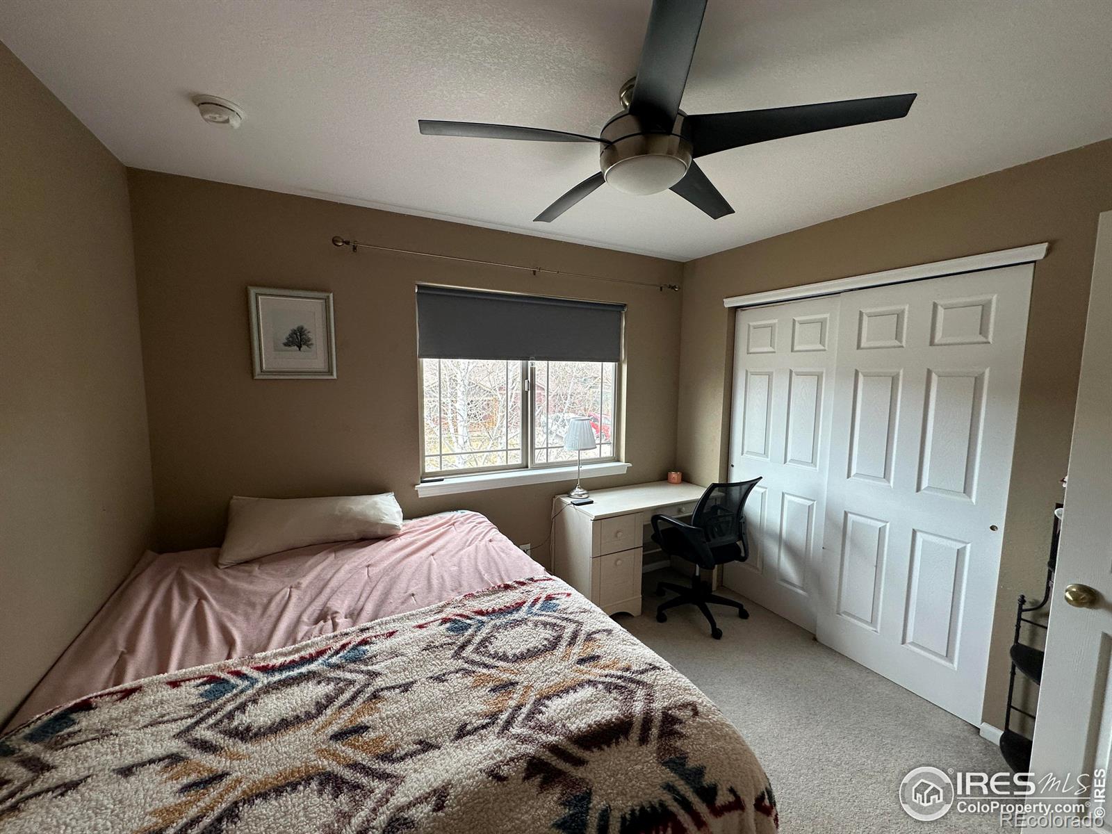 MLS Image #25 for 4478  hayler avenue,loveland, Colorado