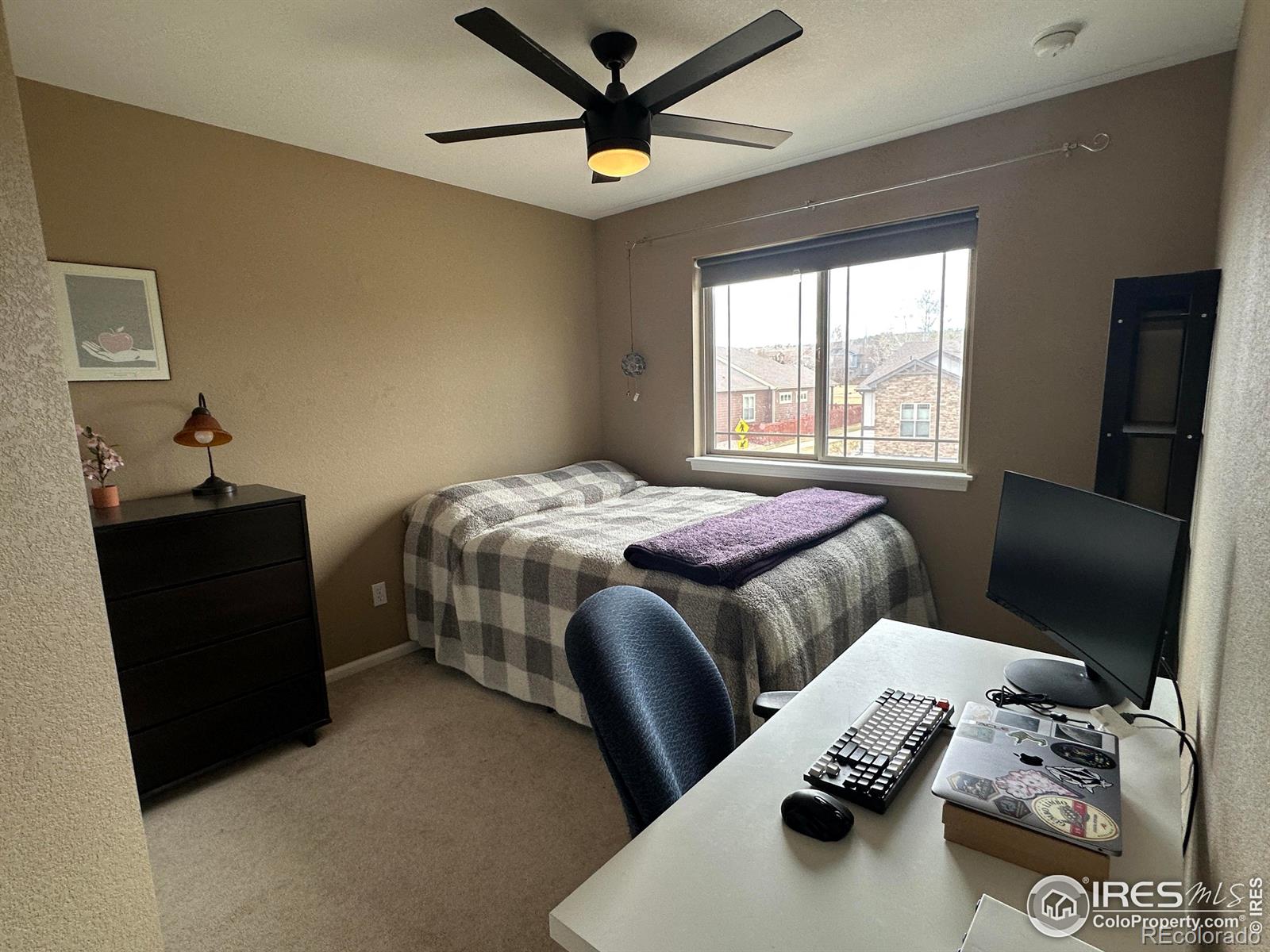 MLS Image #28 for 4478  hayler avenue,loveland, Colorado