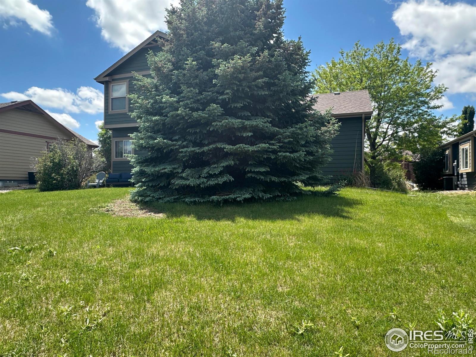 MLS Image #38 for 4478  hayler avenue,loveland, Colorado