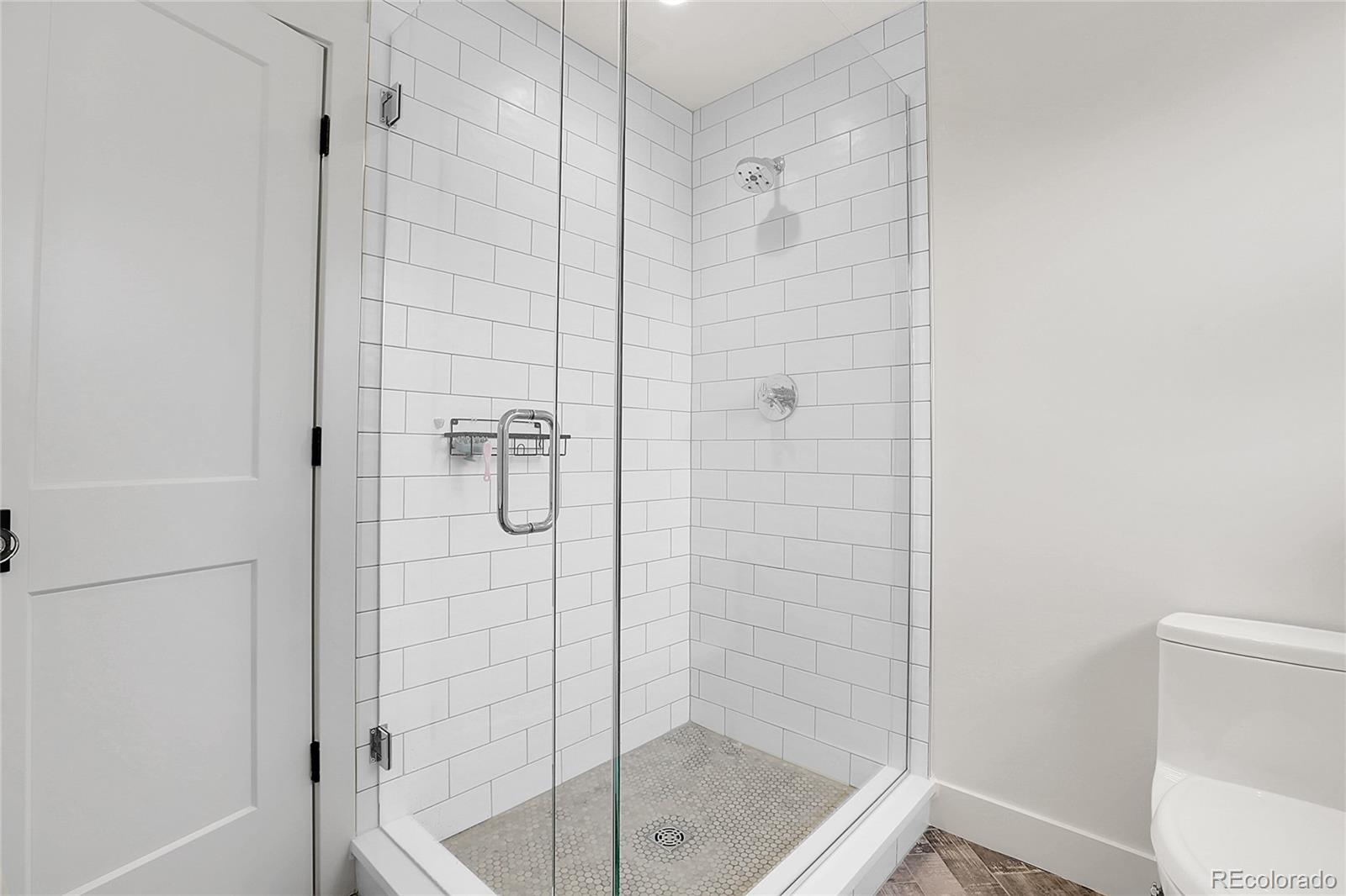 MLS Image #17 for 5800  wood sorrel drive,littleton, Colorado