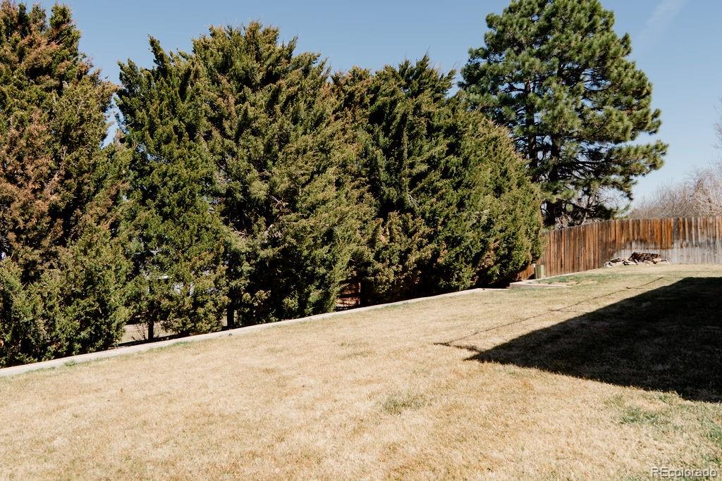 MLS Image #27 for 6290 s oneida way,centennial, Colorado