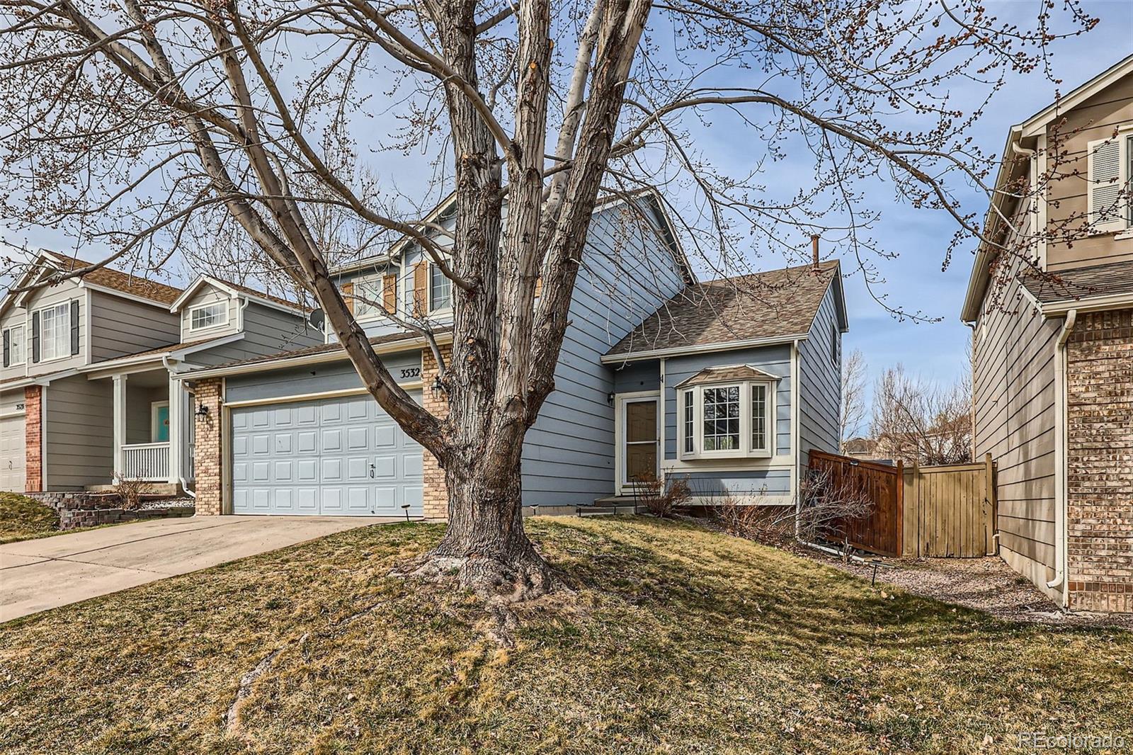 CMA Image for 3532  morning glory drive,Castle Rock, Colorado