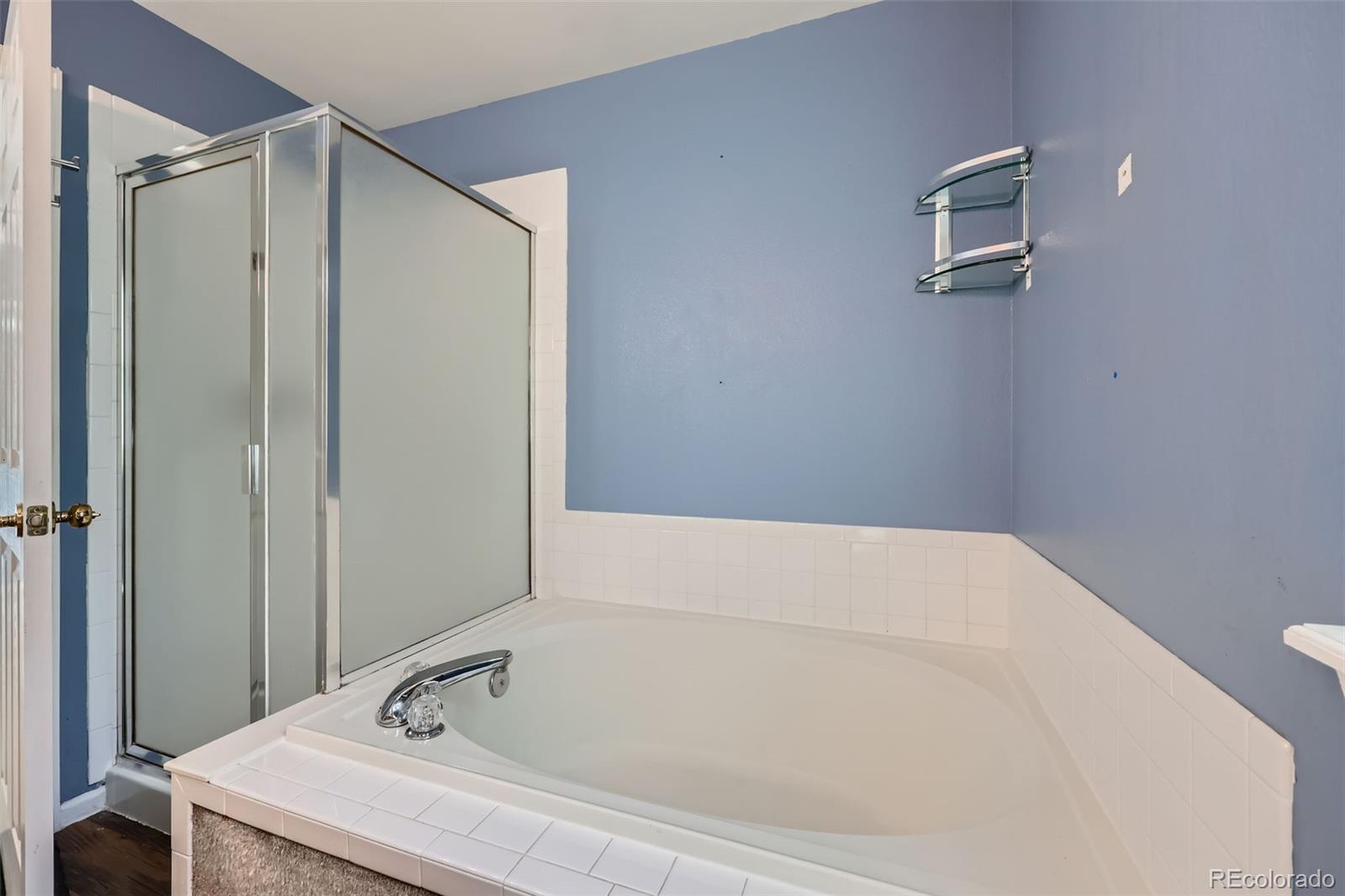 MLS Image #19 for 3532  morning glory drive,castle rock, Colorado