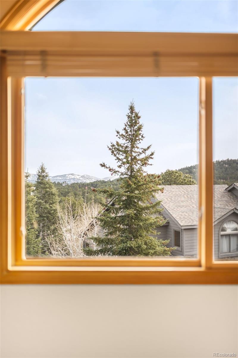 MLS Image #29 for 3667  joyful way,evergreen, Colorado