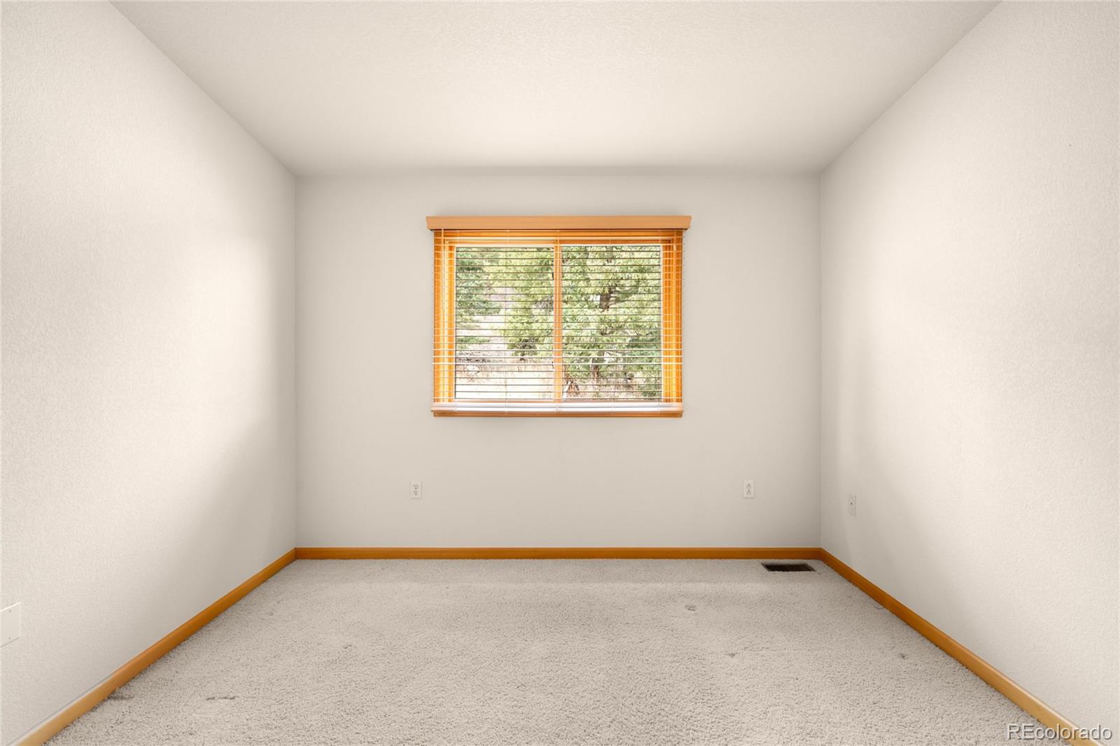 MLS Image #30 for 3667  joyful way,evergreen, Colorado