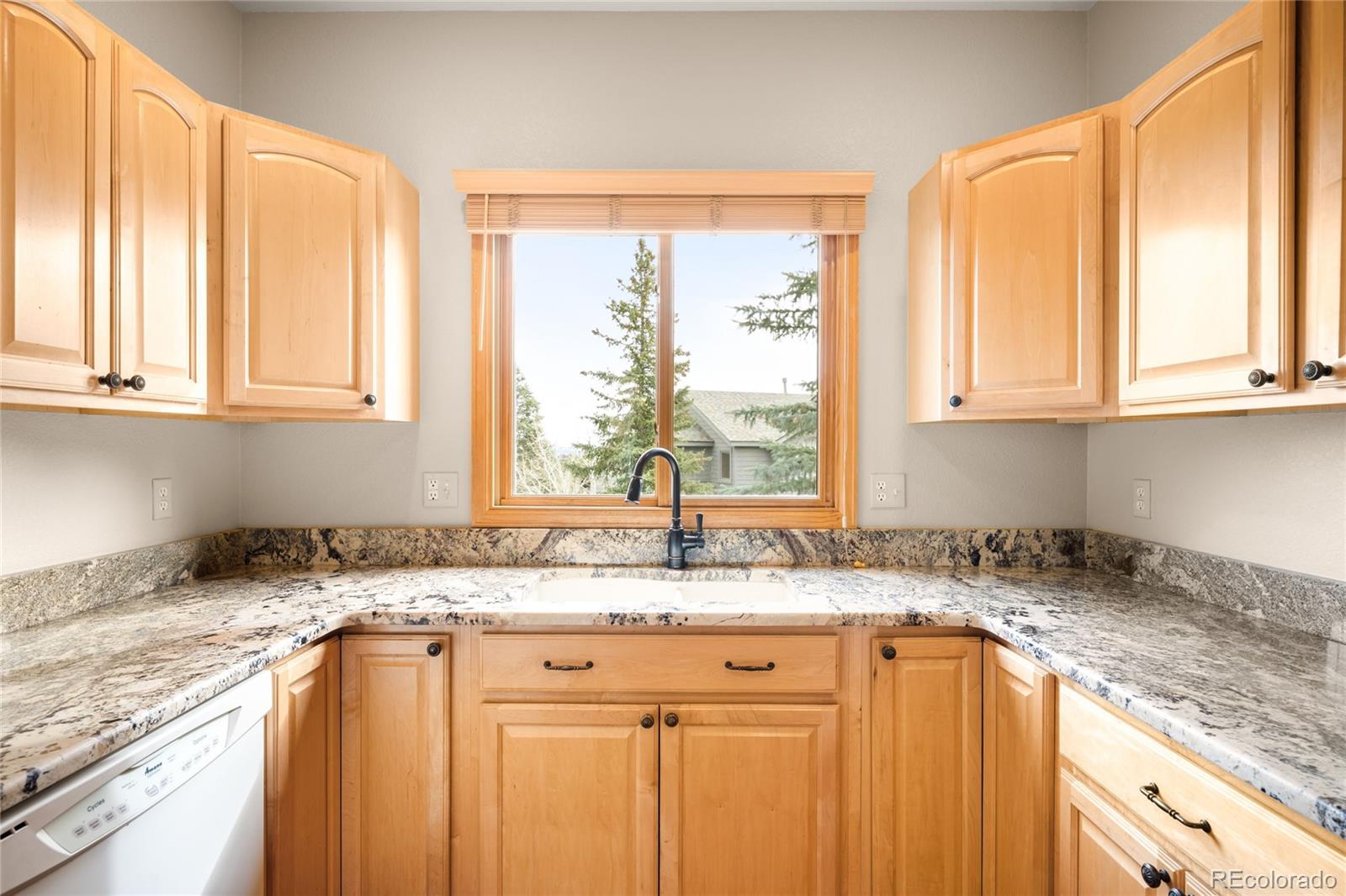 MLS Image #8 for 3667  joyful way,evergreen, Colorado