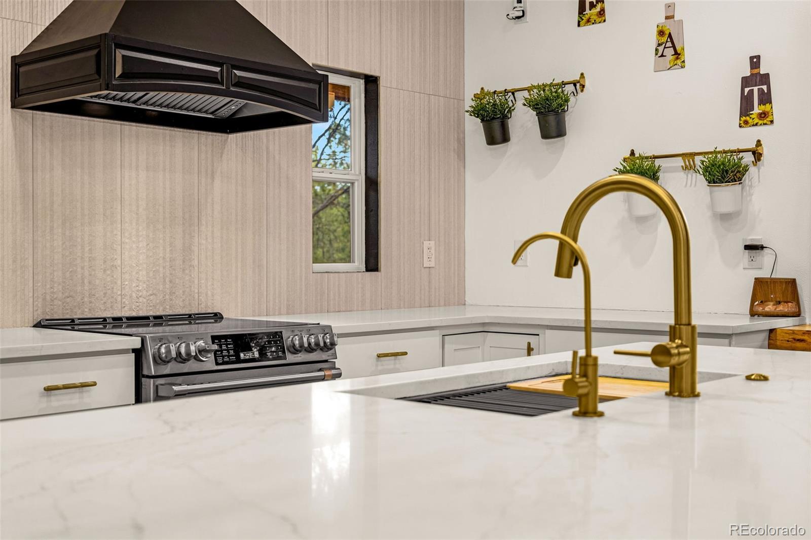 MLS Image #10 for 10720  egerton road,colorado springs, Colorado